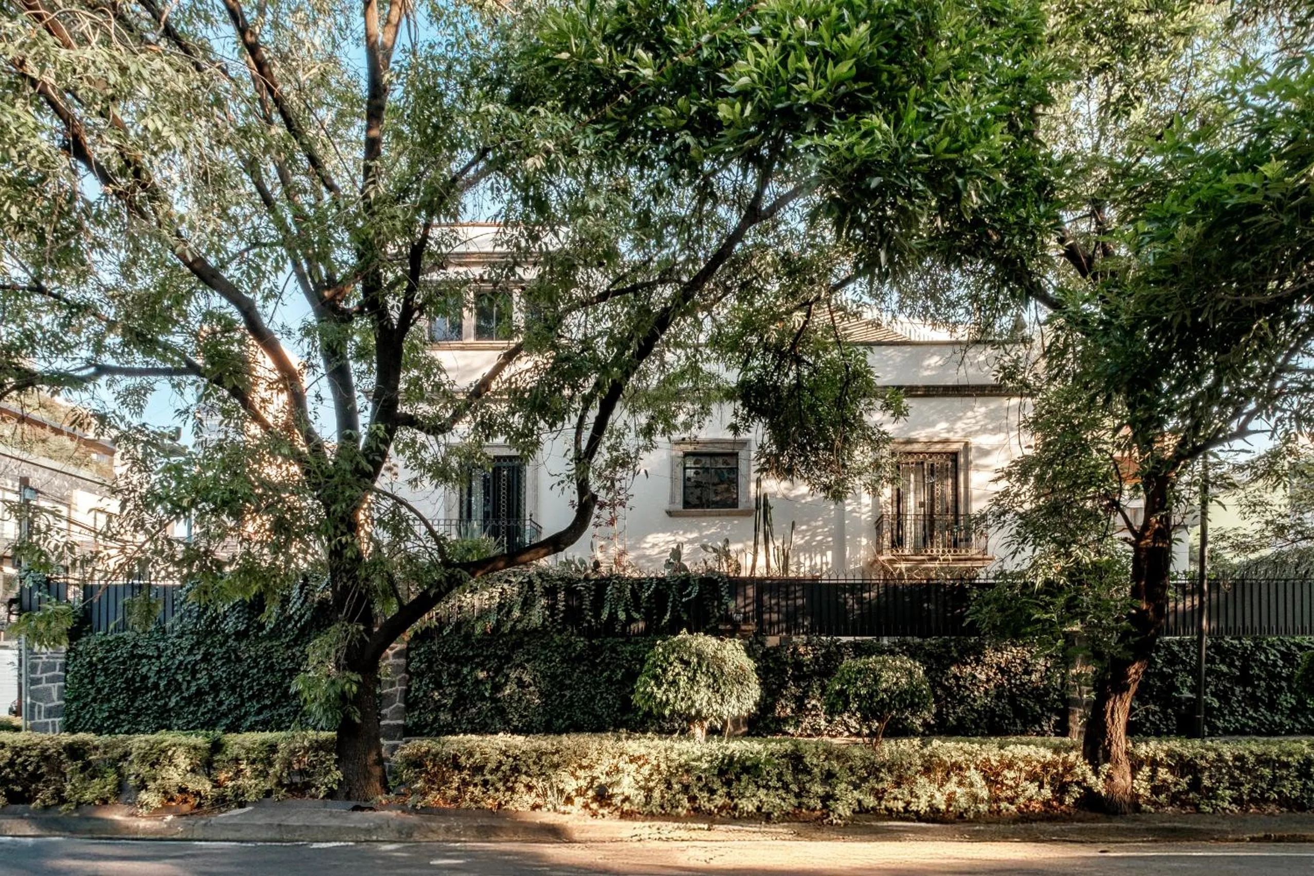 Pug Seal Polanco Anatole France