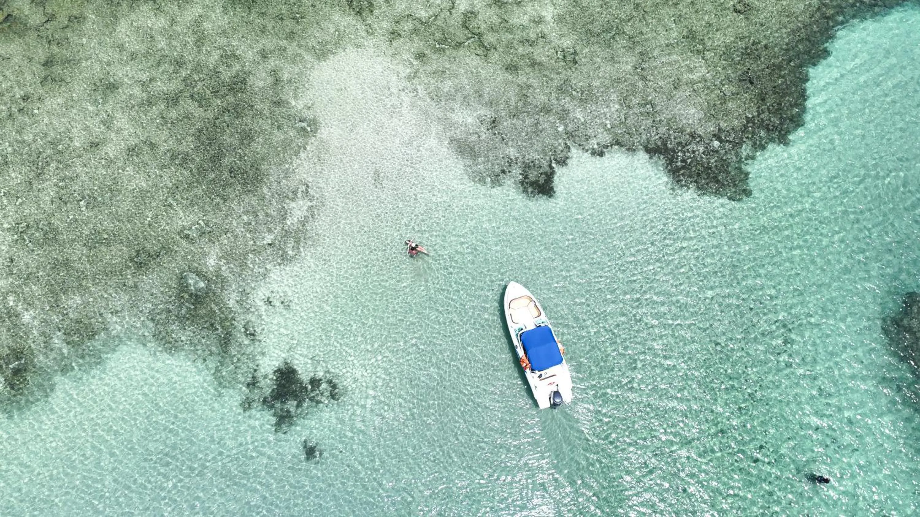 Natural landscape in Japaratinga Lounge Resort - All Inclusive