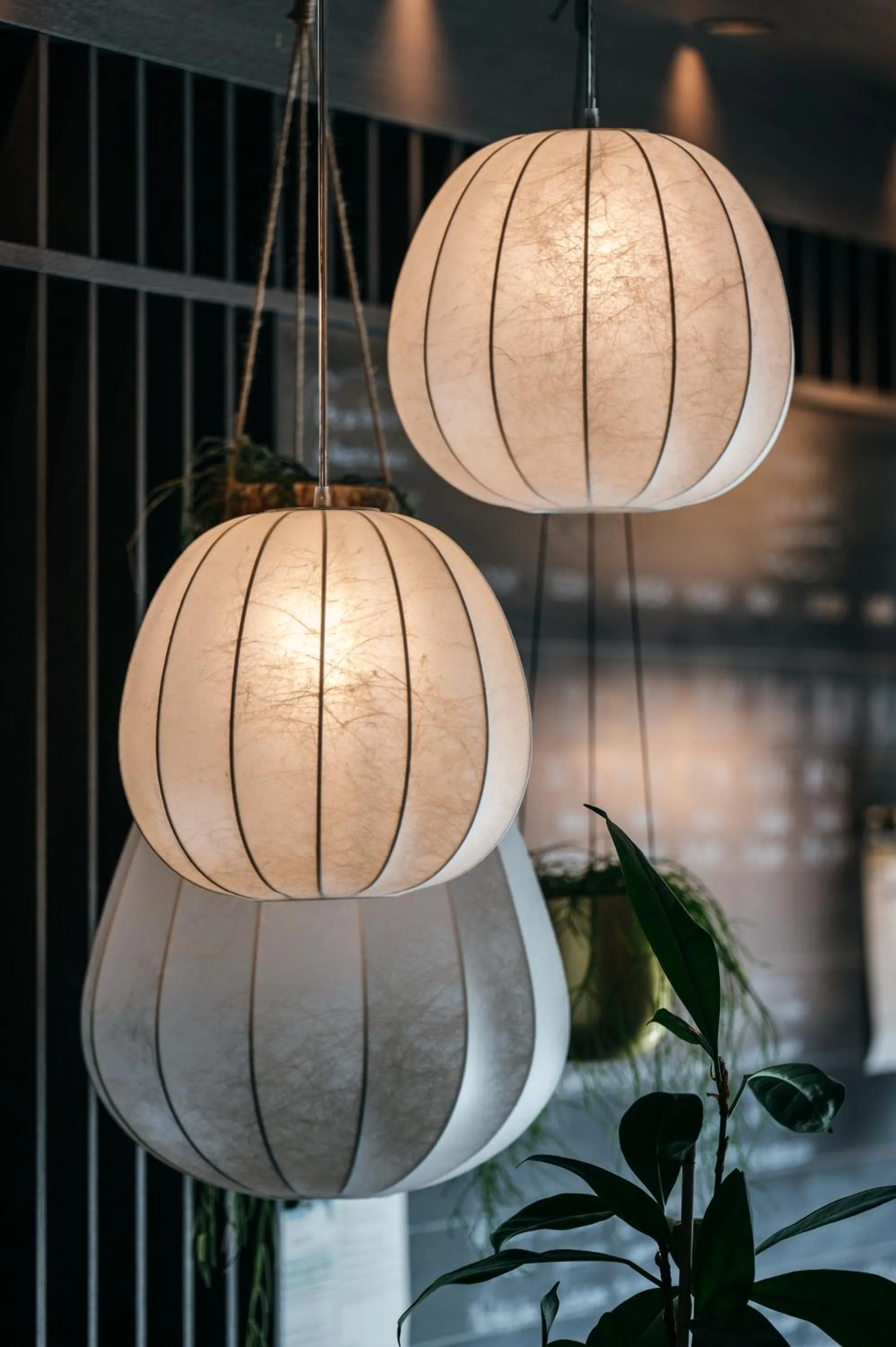 Lobby or reception in SILENA, your soulful hotel - adults only