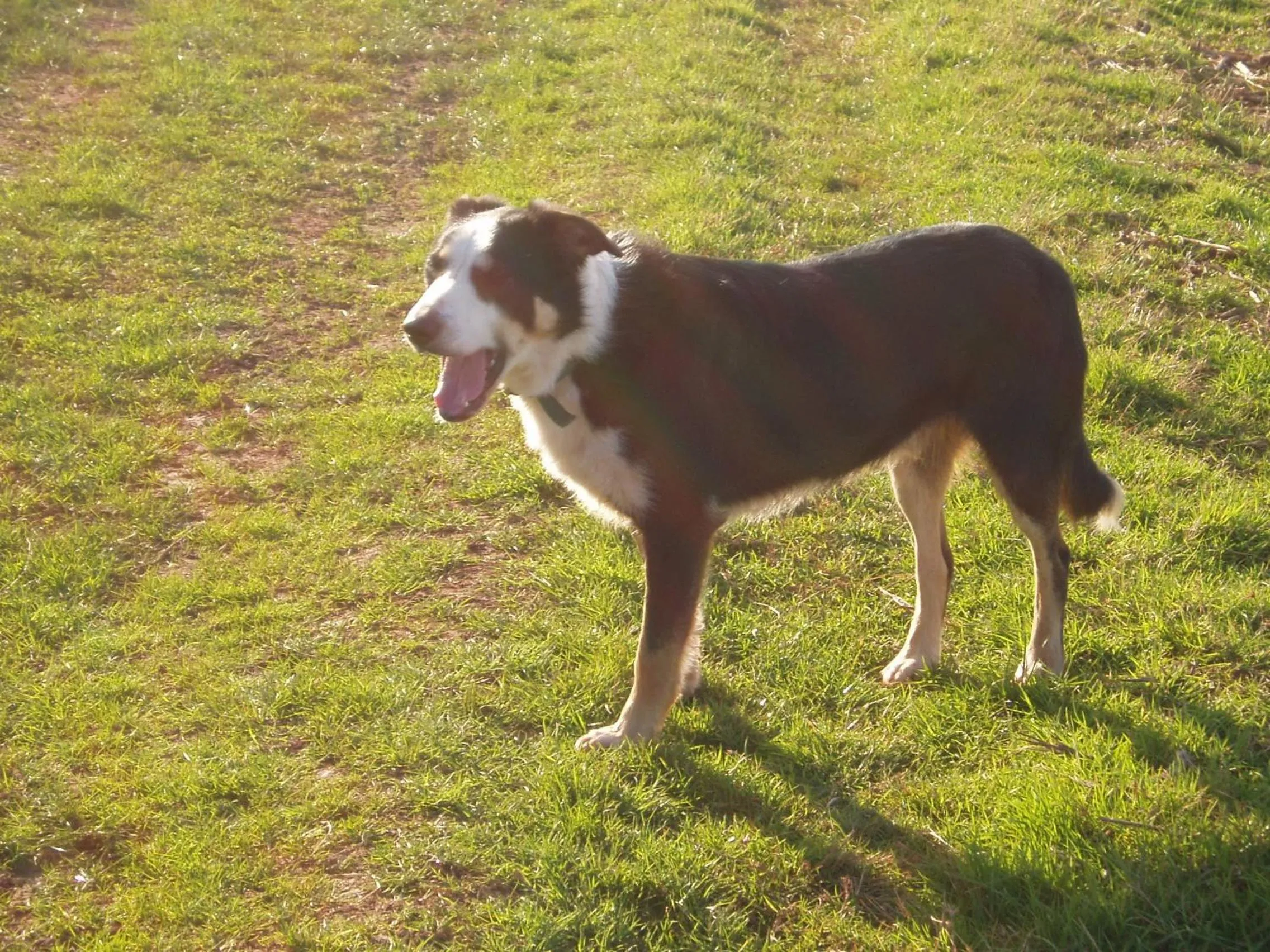 Other in Burton Farmhouse