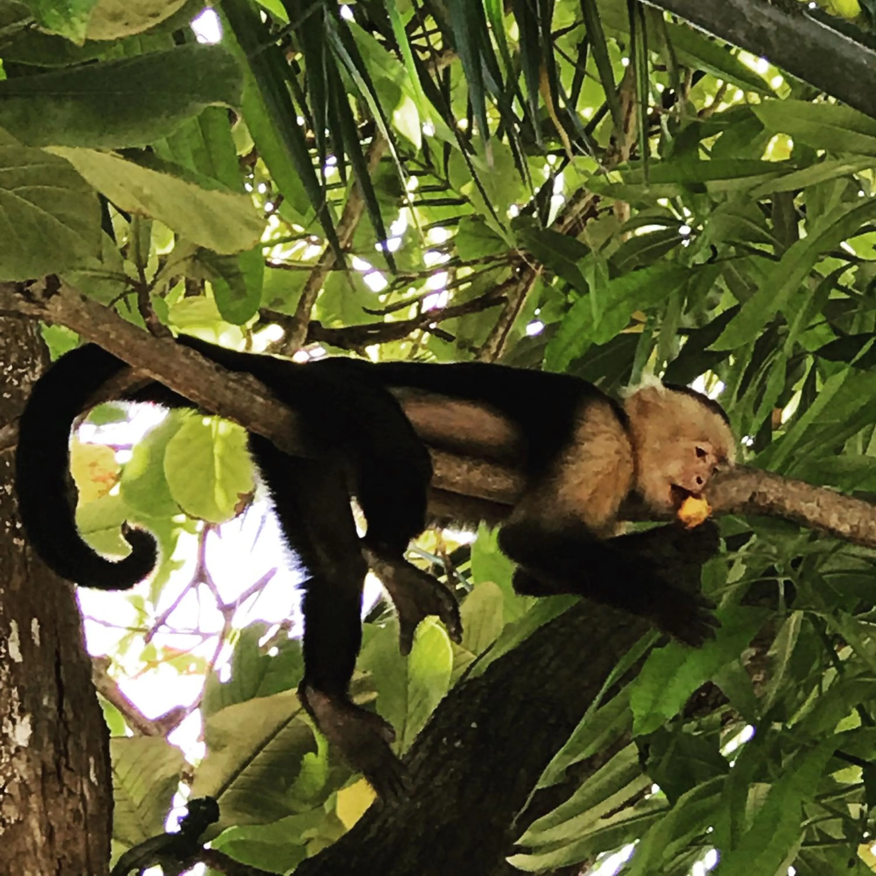 Property building in Hotel Nya