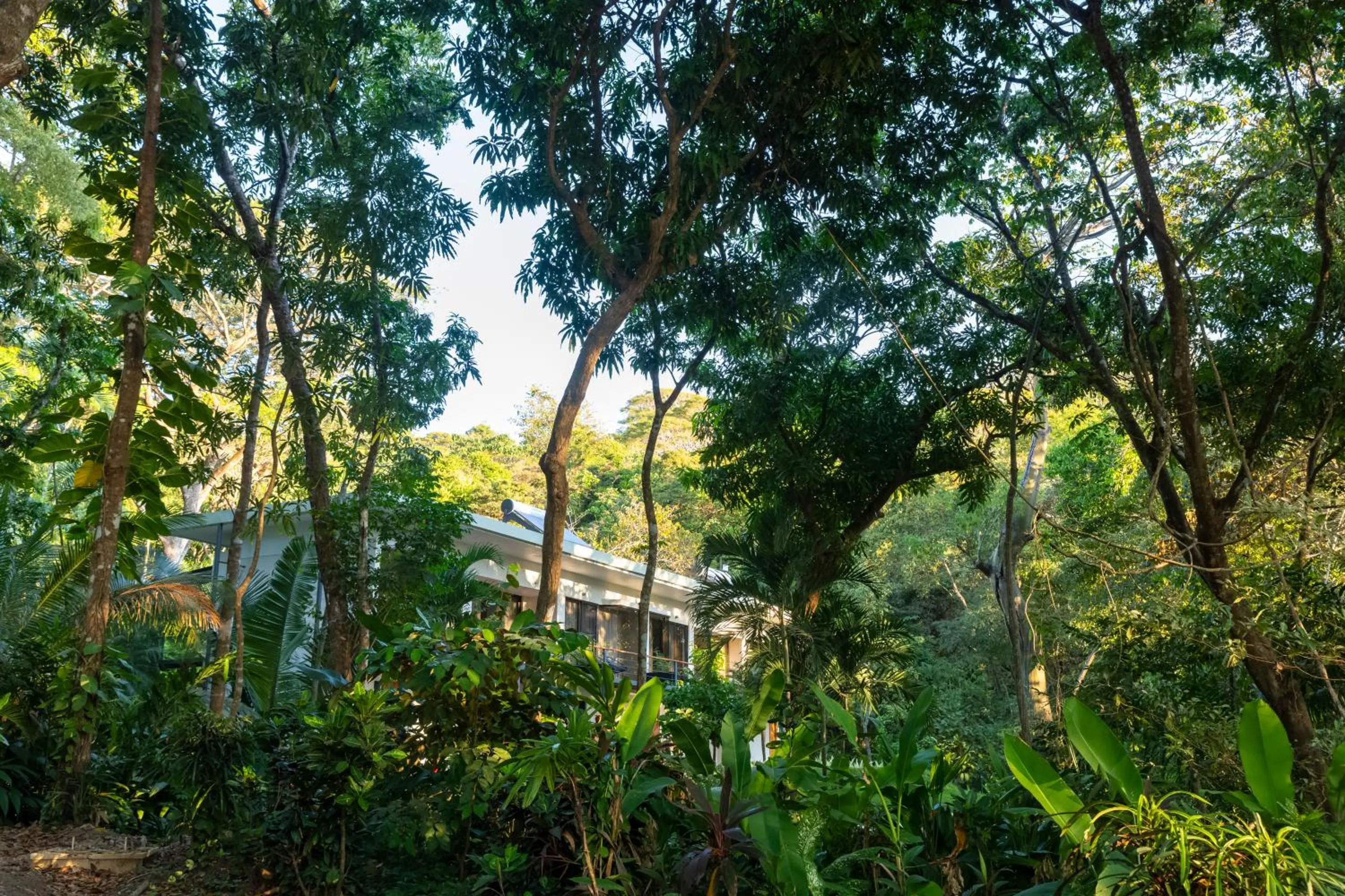 Garden view in Hotel Nya