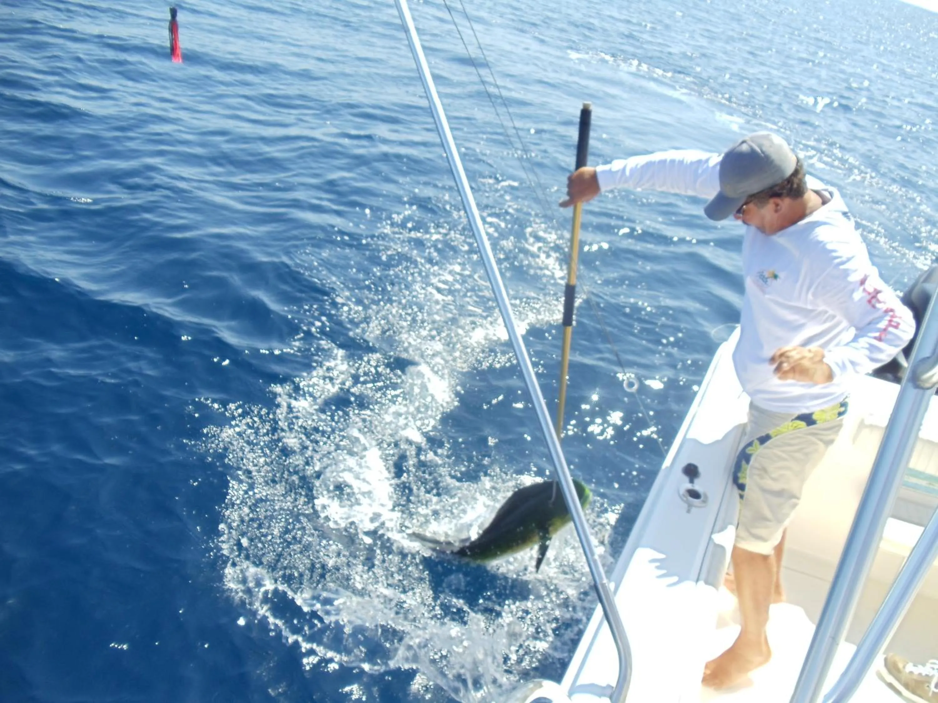 Activities in Hotel Nya