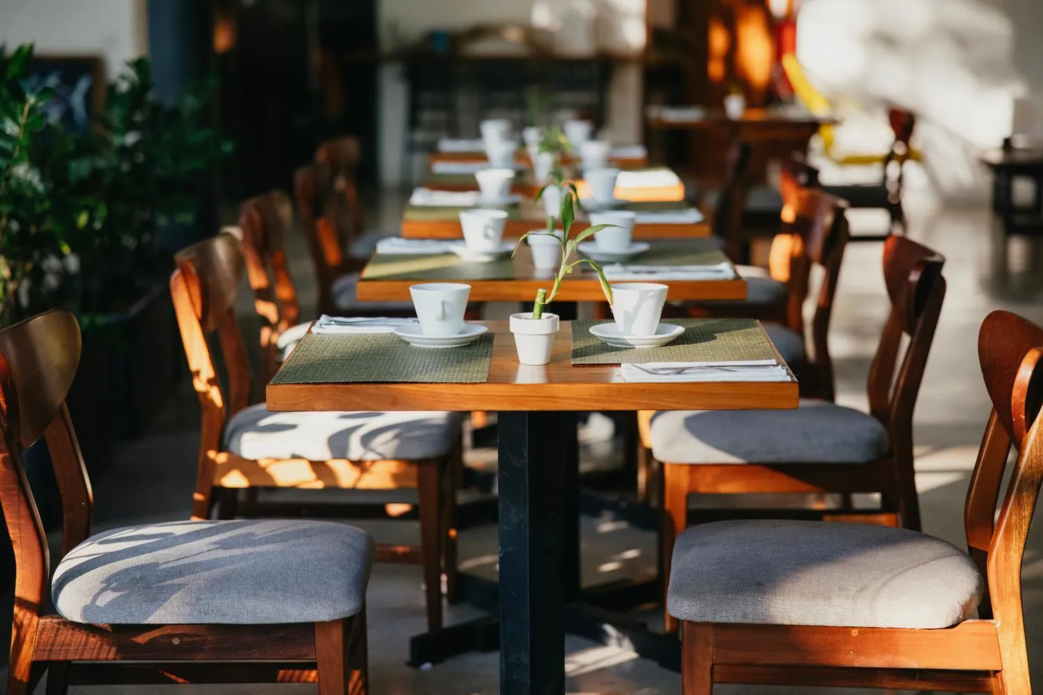 Restaurant/places to eat in Hotel Nya