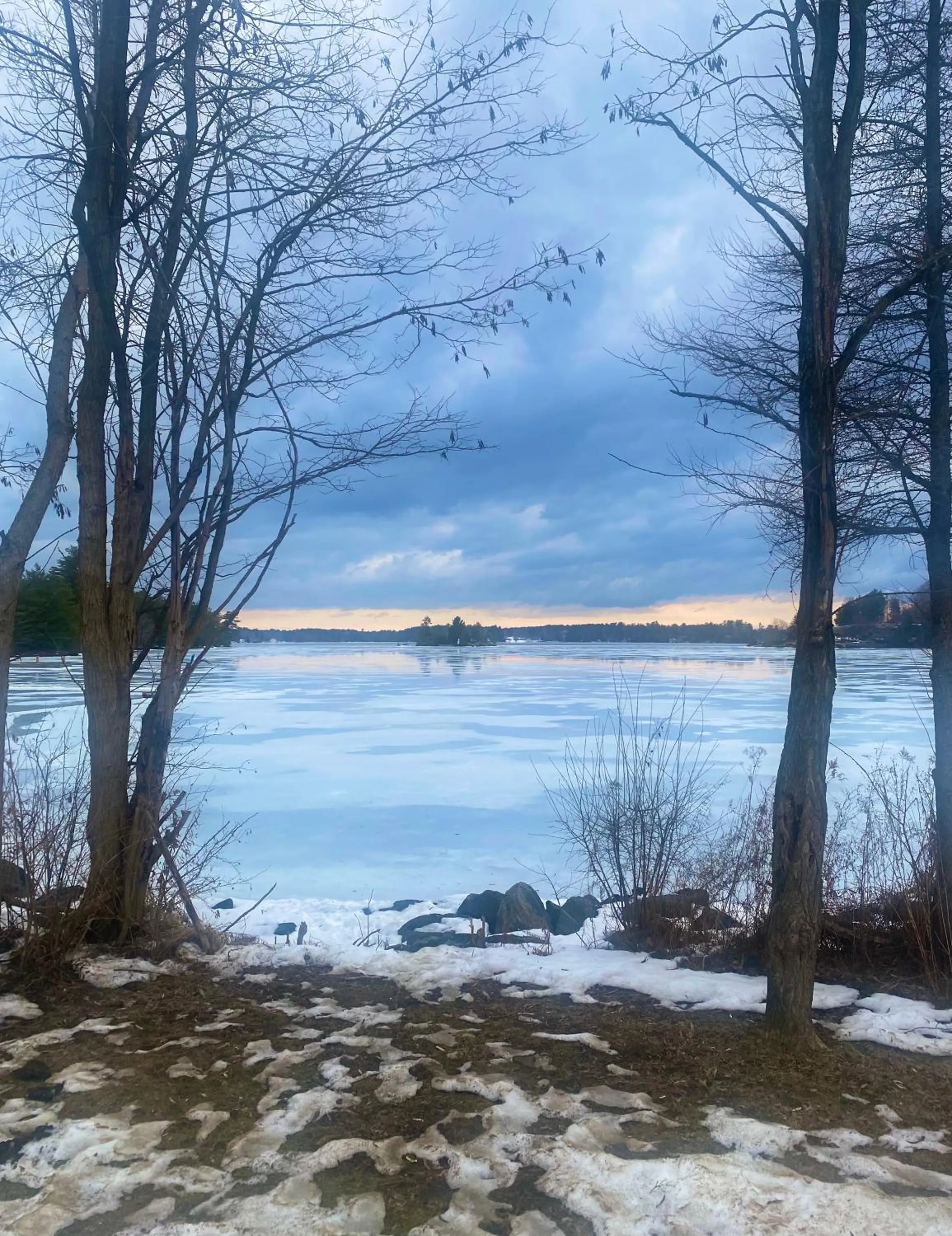 Natural landscape in Blue Spruce Bed and Breakfast Muskoka