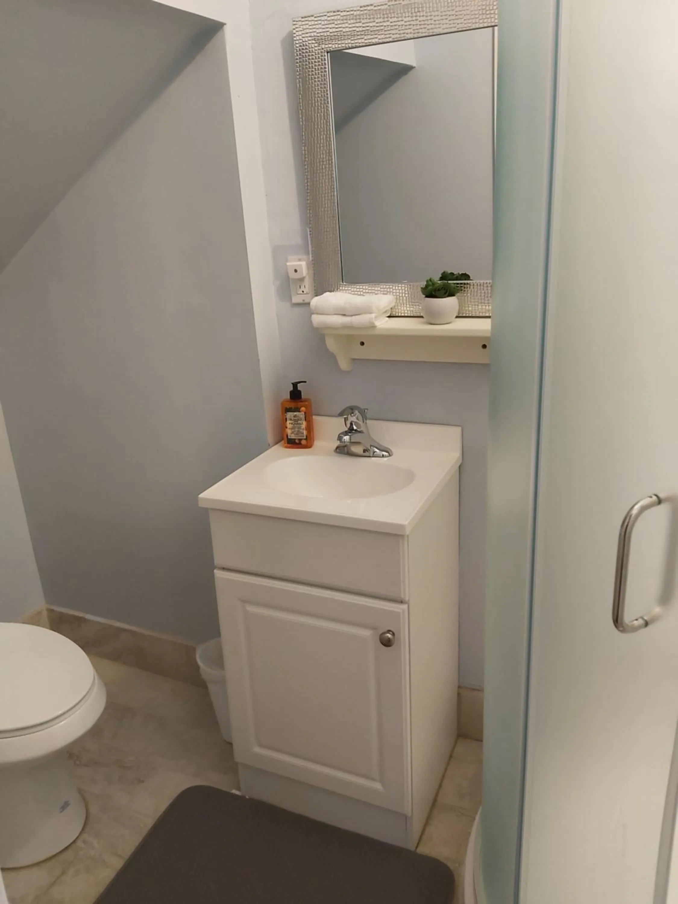 Shower in Blue Spruce Bed and Breakfast Muskoka