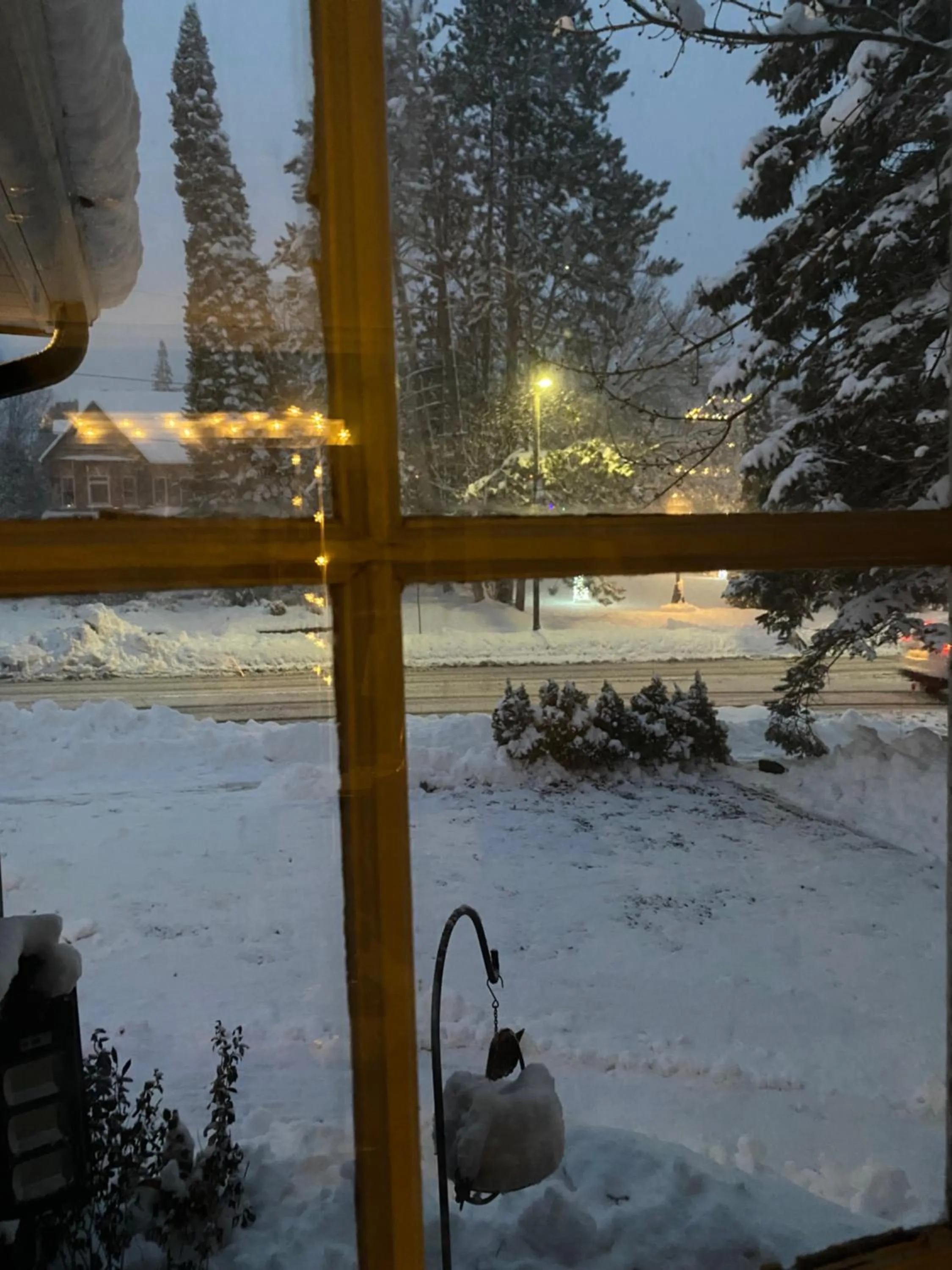 Property building in Blue Spruce Bed and Breakfast Muskoka