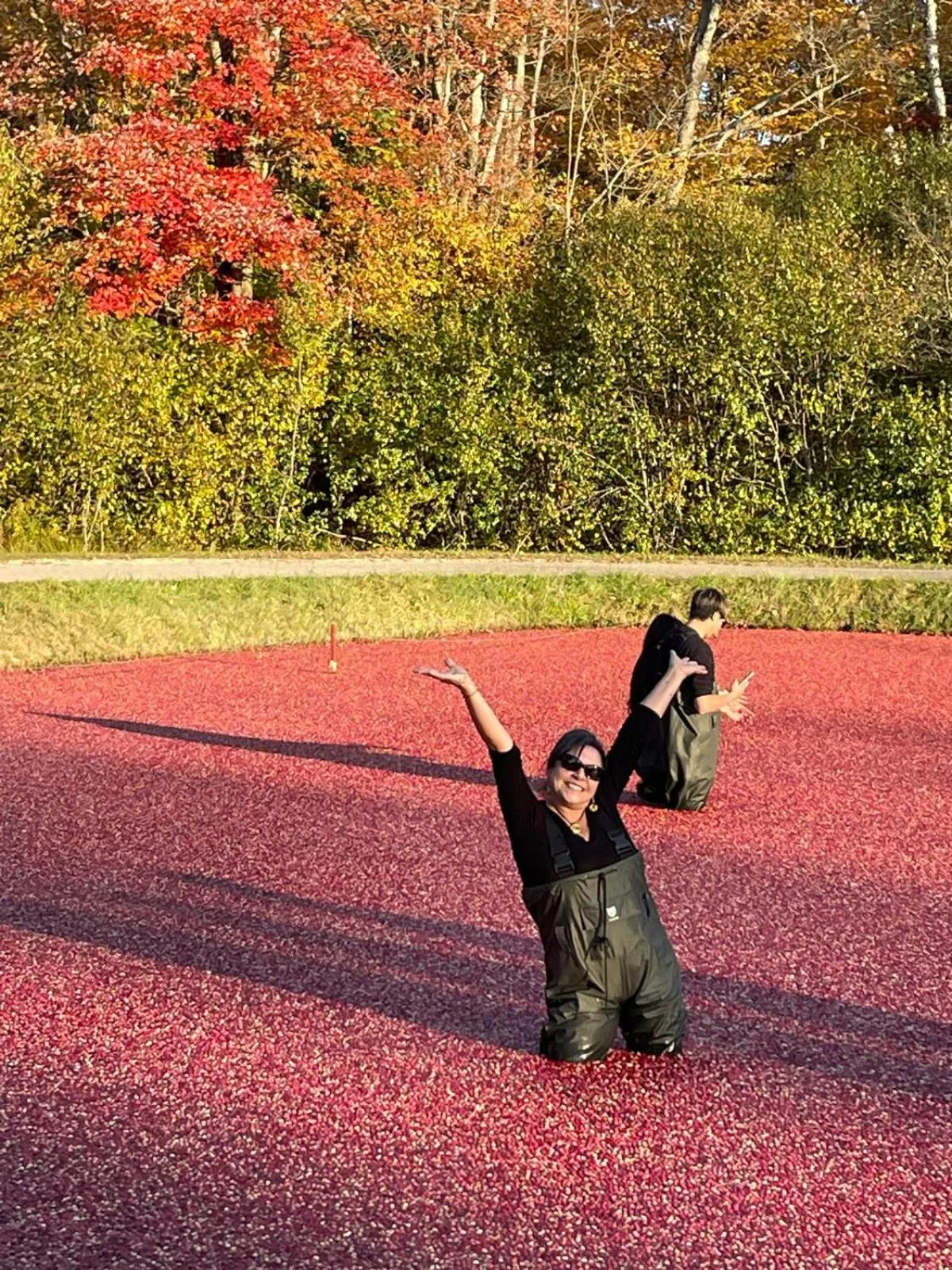 Natural landscape in Blue Spruce Bed and Breakfast Muskoka