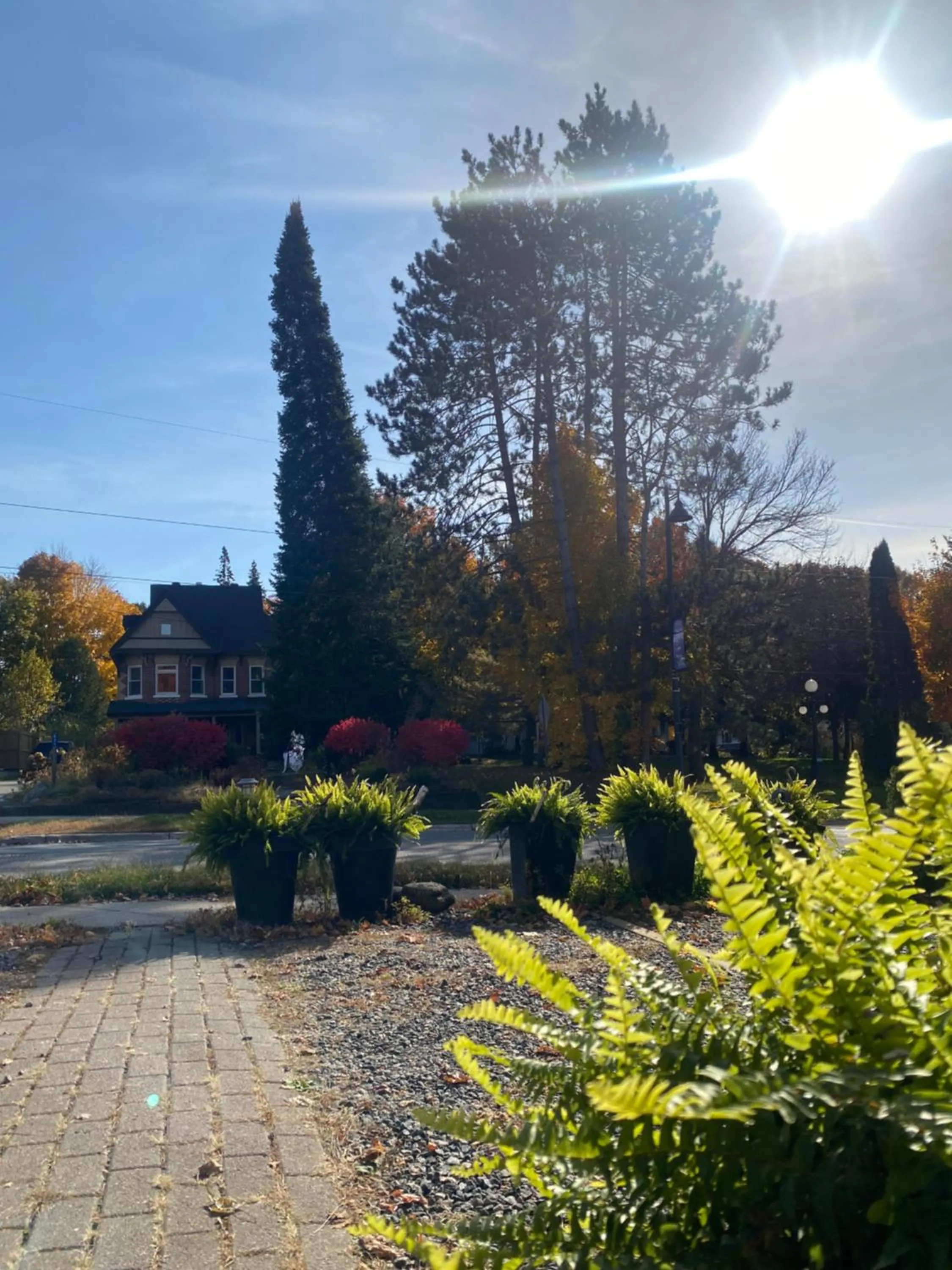 Neighbourhood in Blue Spruce Bed and Breakfast Muskoka