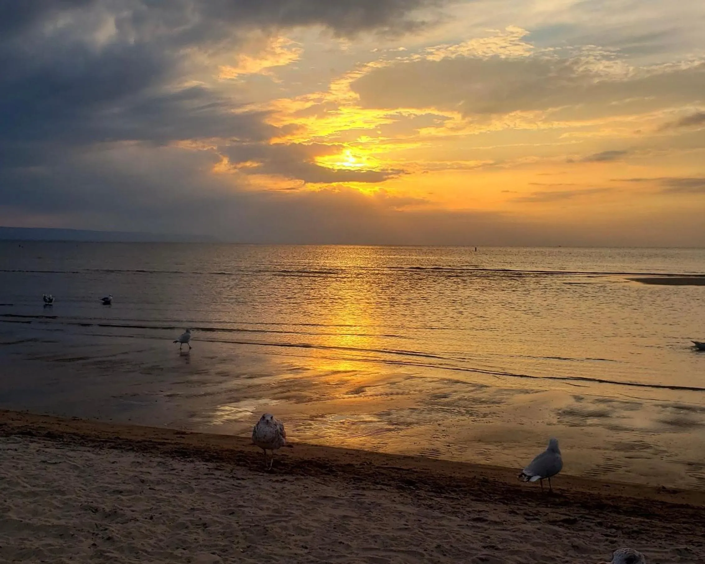 Day in Blue Spruce Bed and Breakfast Muskoka