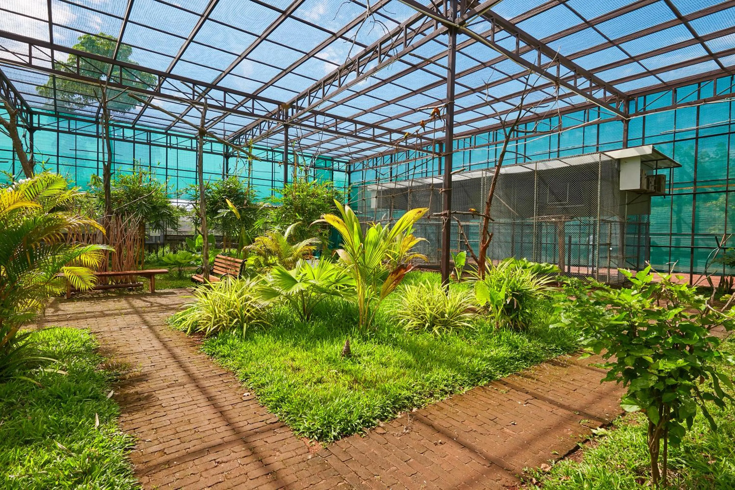 Bird's eye view in Bodhiwoods Resorts