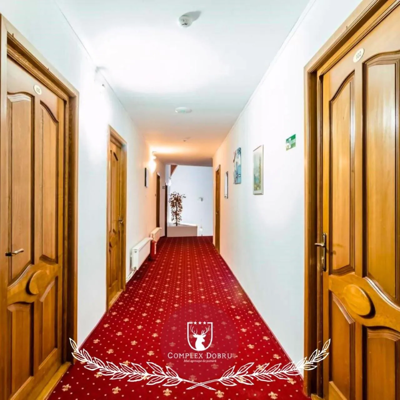 Hotel Dobru