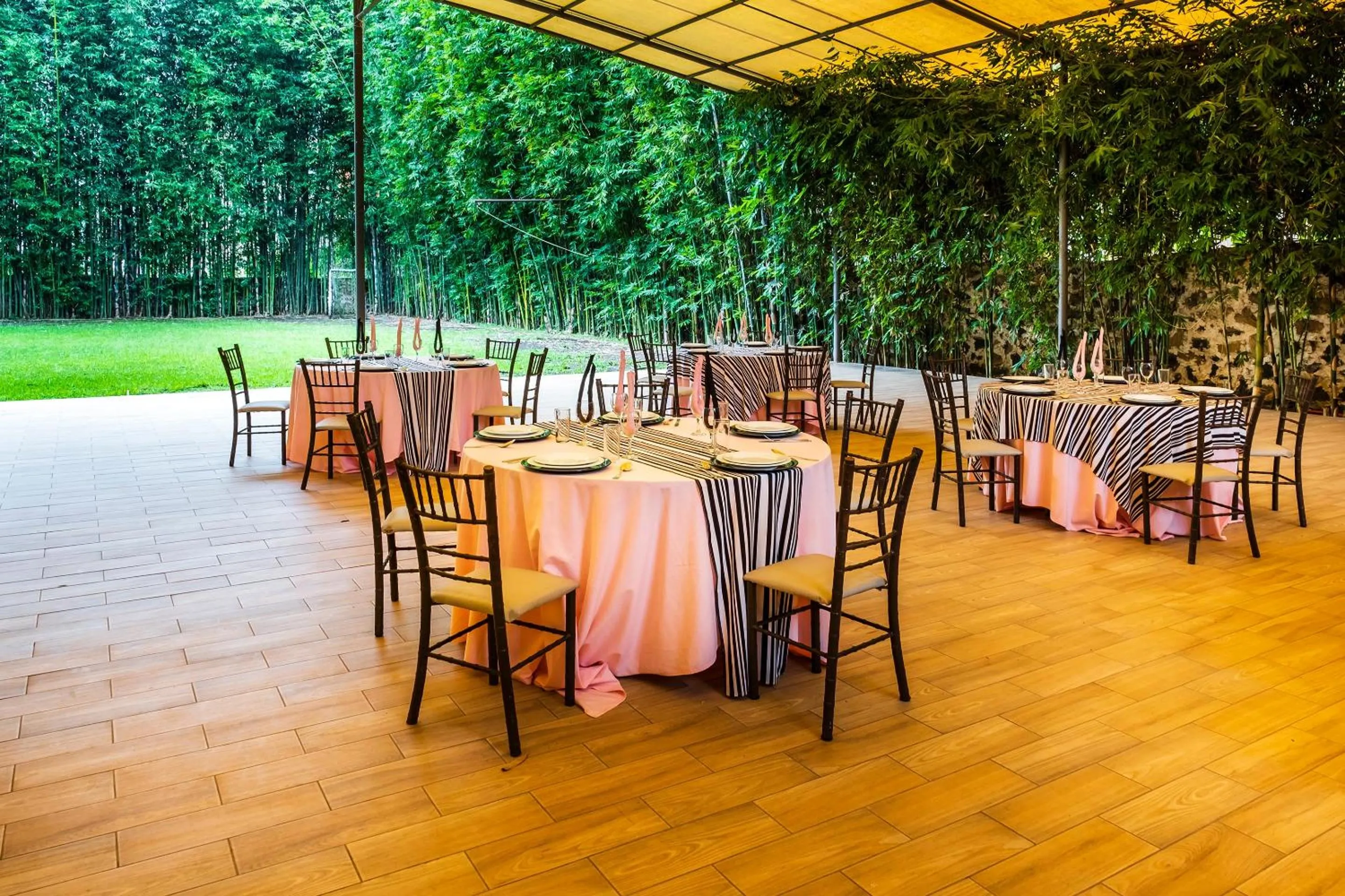 Garden in Capital O Hotel Central, Xalapa