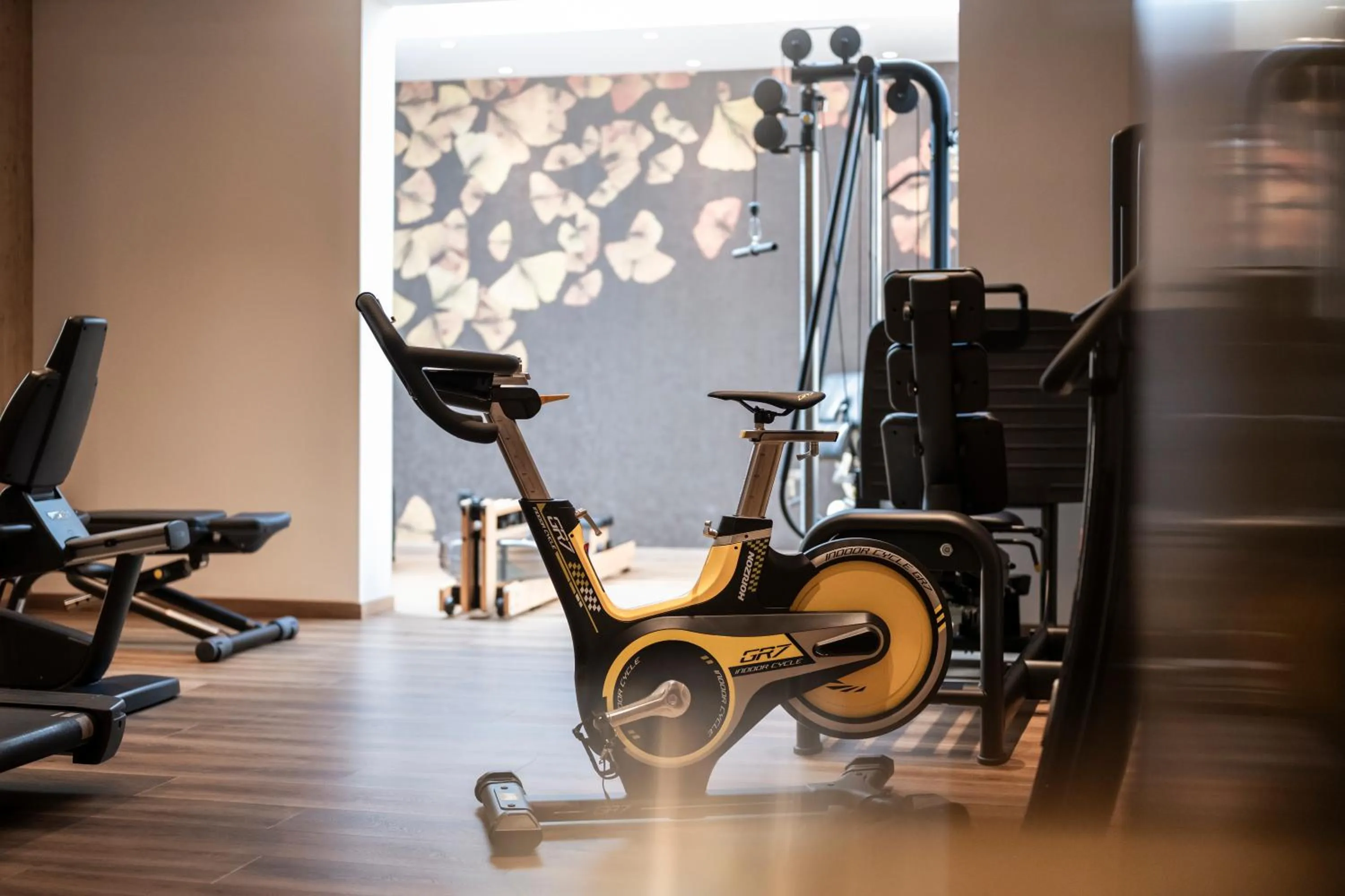 Fitness centre/facilities in Small & Beautiful Hotel Gnaid