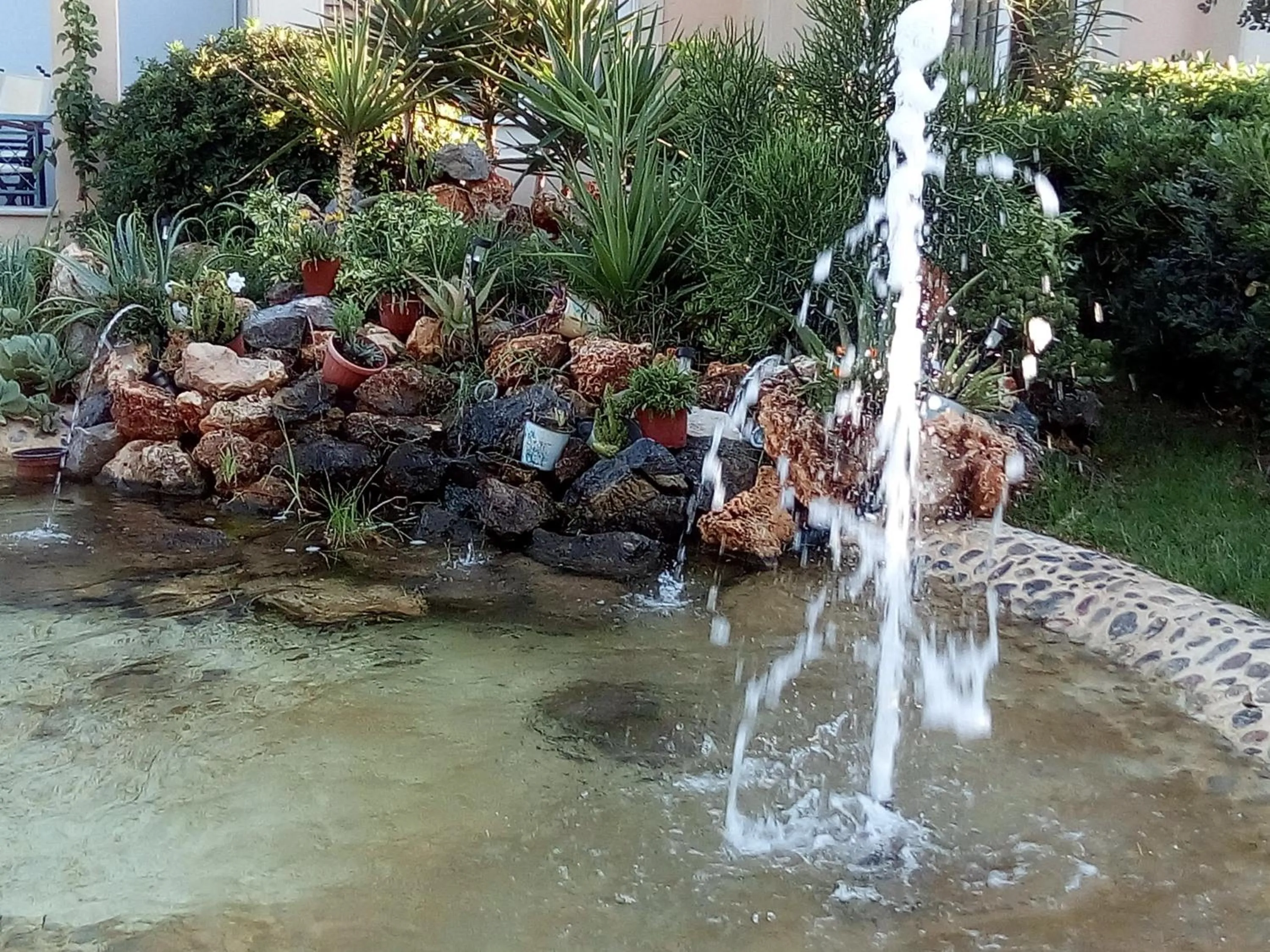 Garden in Melina Beach