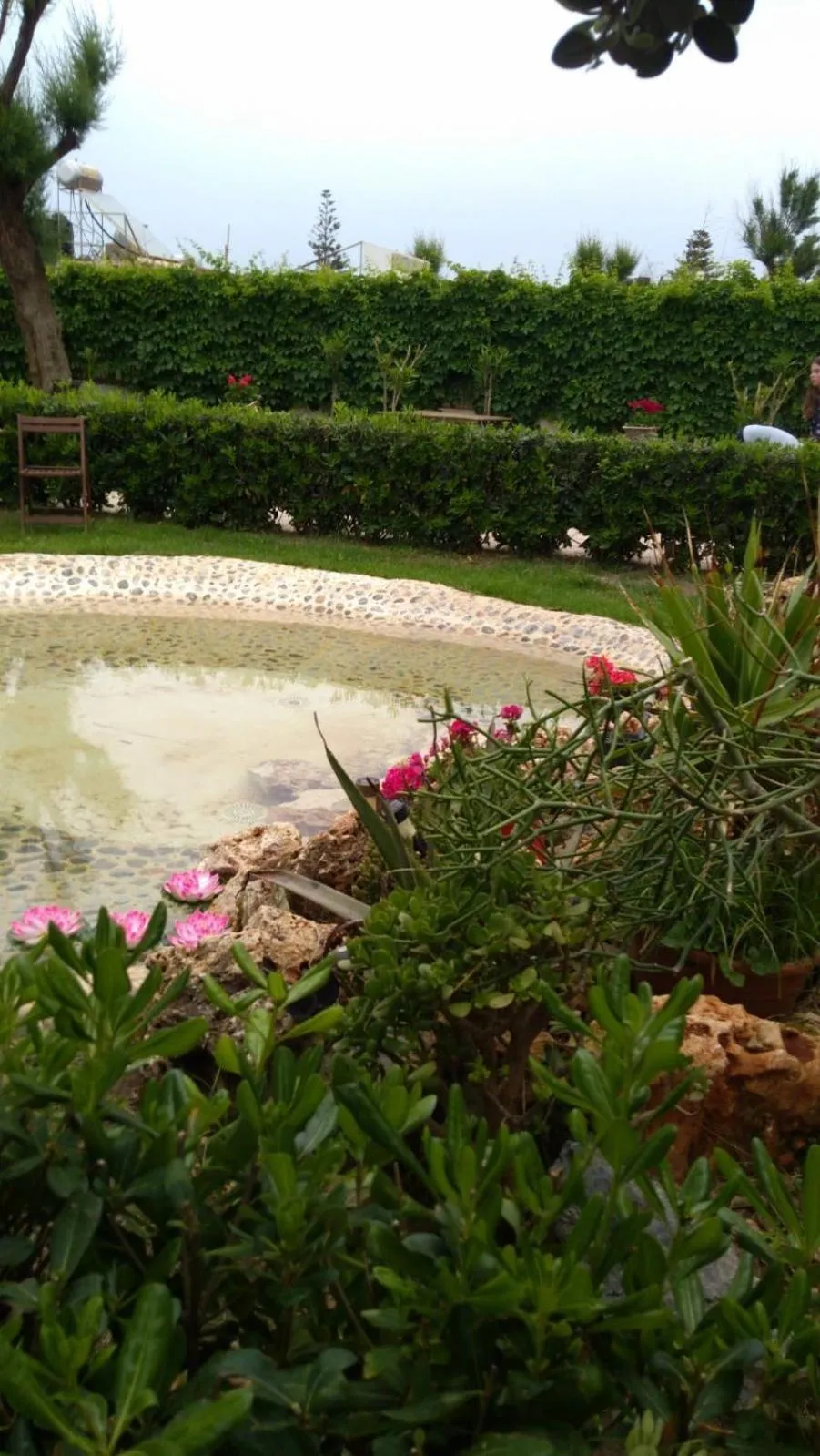 Garden in Melina Beach