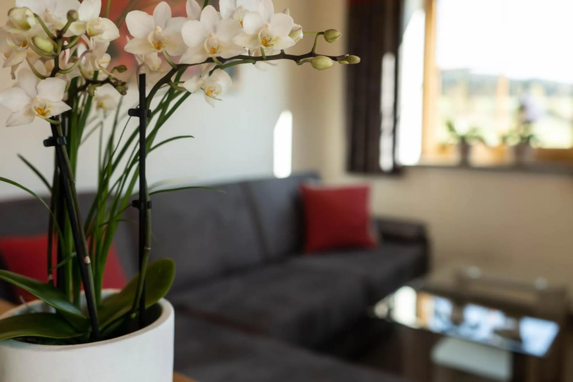 Living room in Biobauernhof Gast