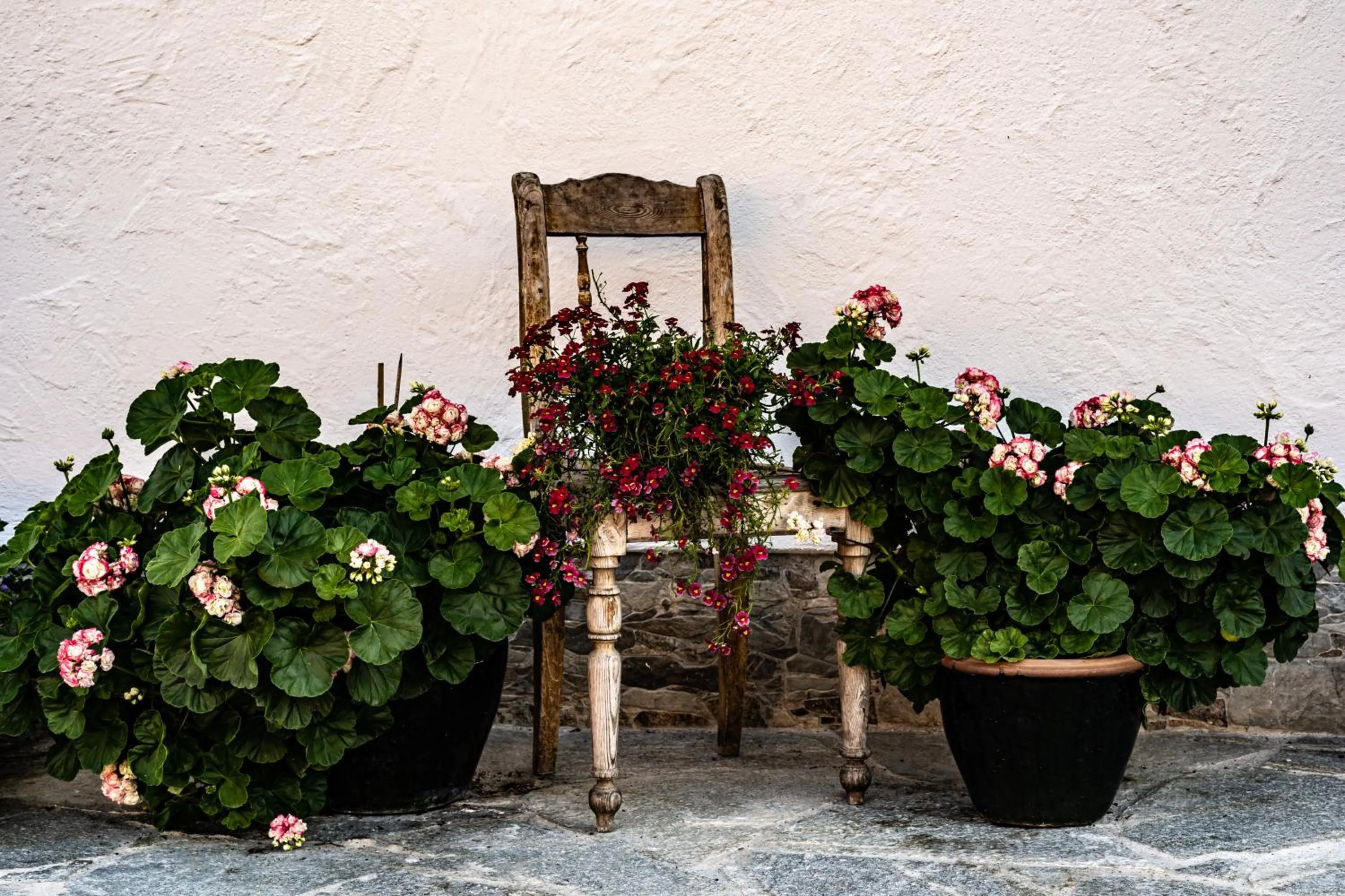 Garden in Biobauernhof Gast