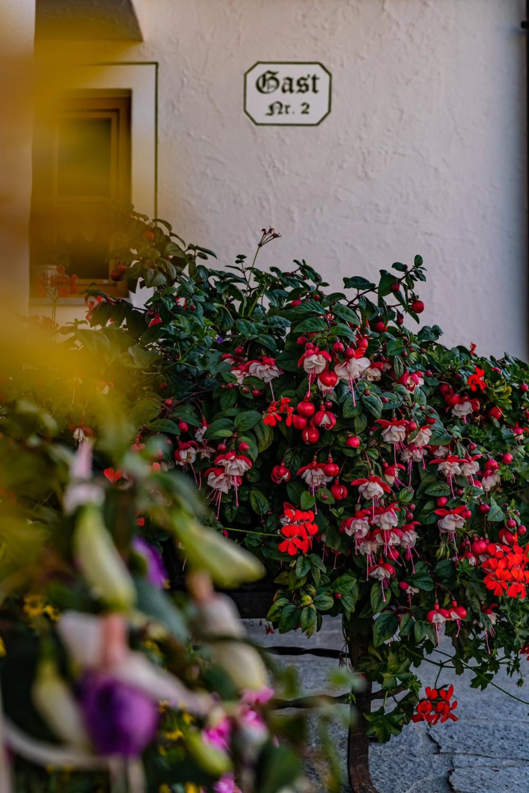 Garden in Biobauernhof Gast