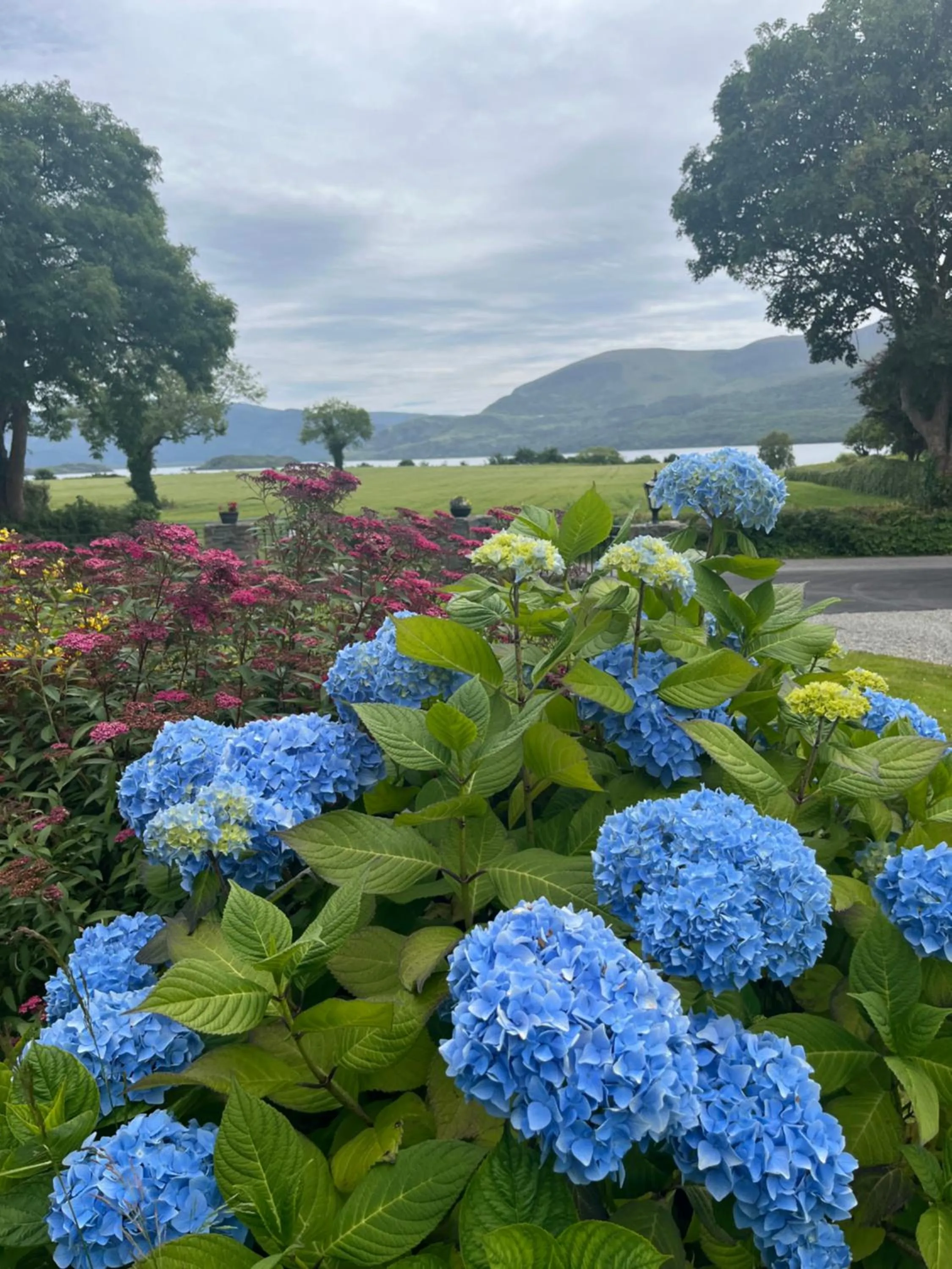 Natural landscape in Loch Lein Country House