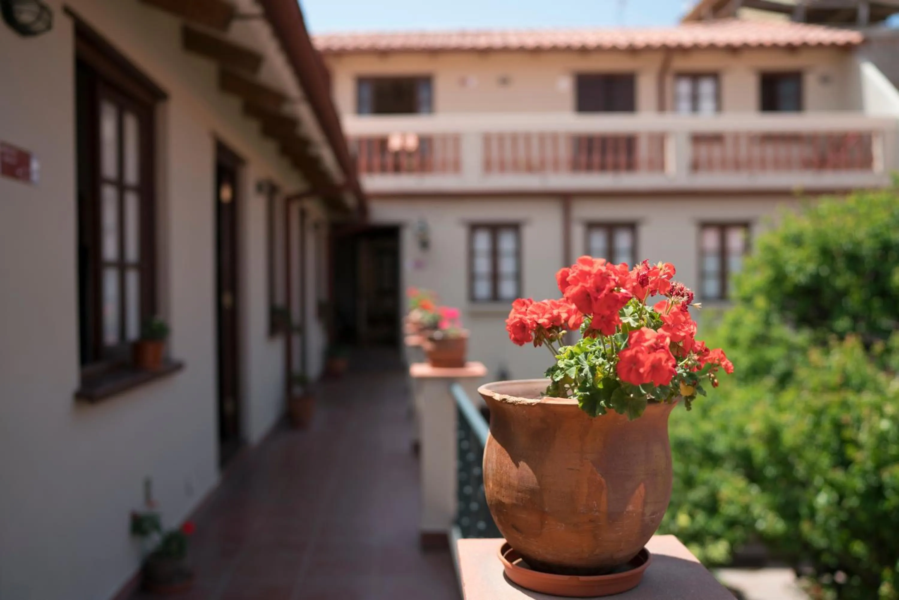 Balcony/Terrace in Hotel Boutique La Posada