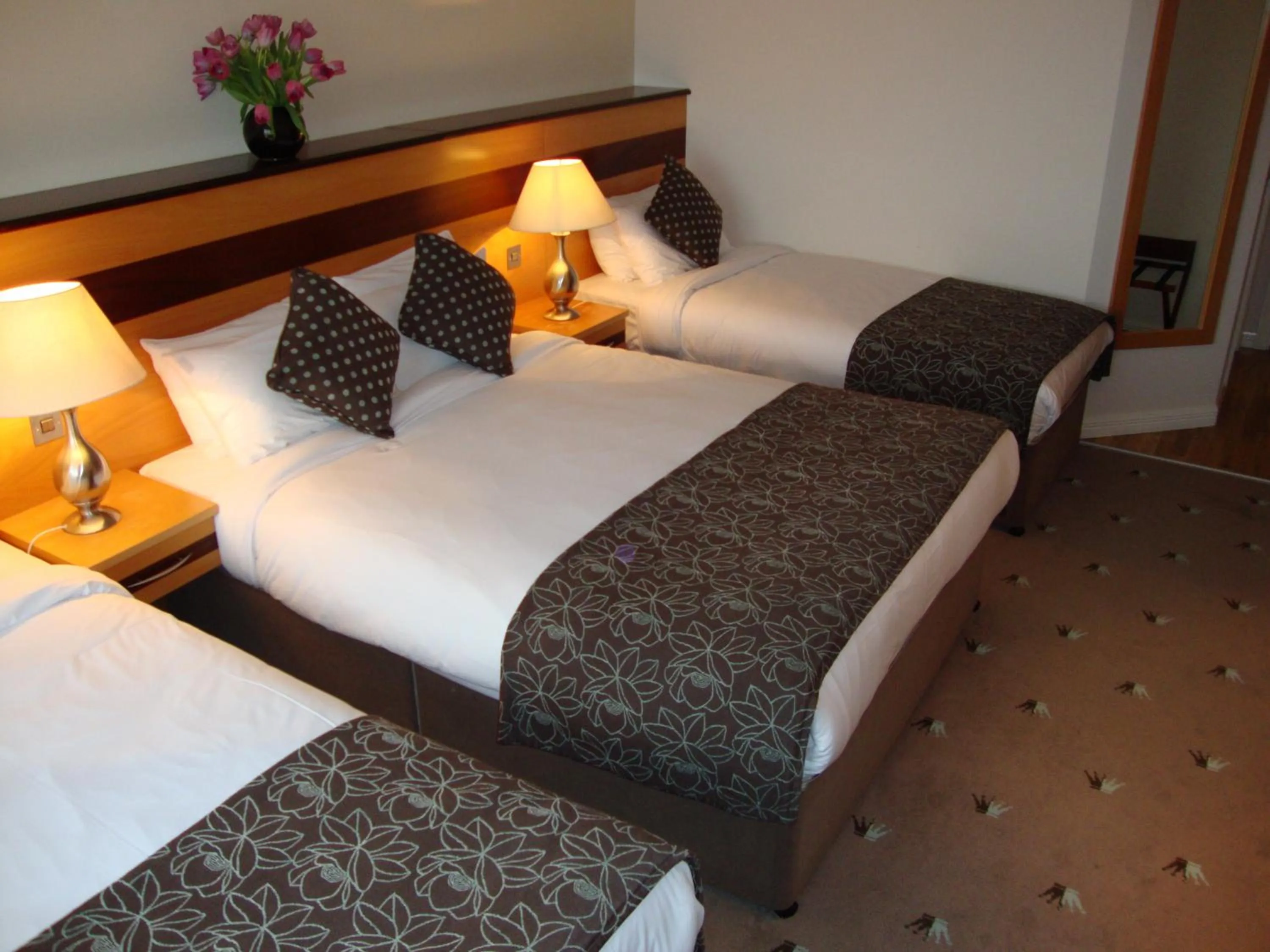 Photo of the whole room, Bed in Ard Ri House Hotel