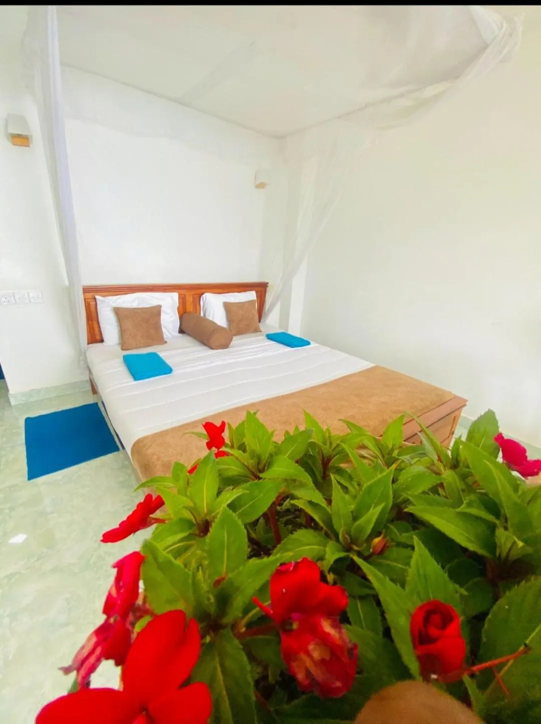 Bed in Two Rock Vista