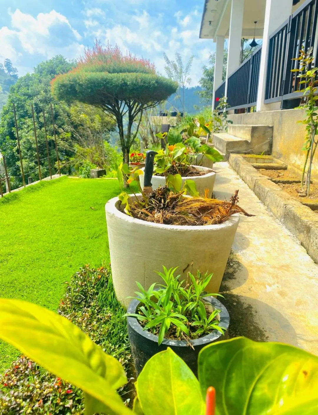 Property building in Two Rock Vista