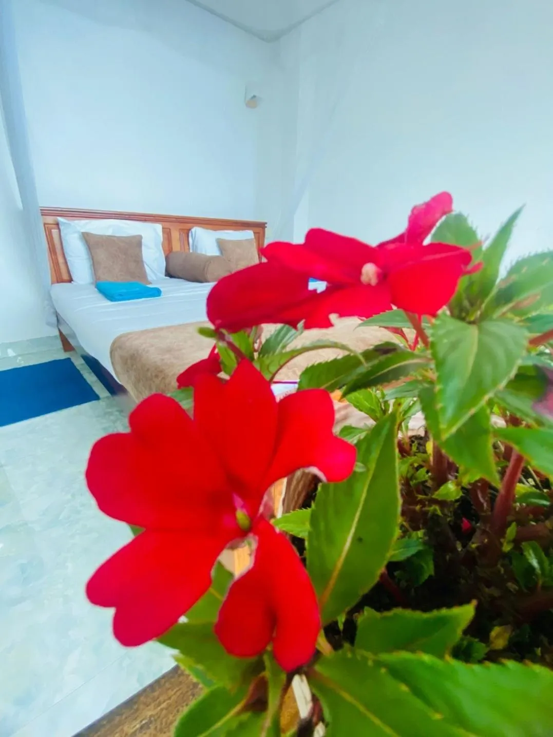 Bedroom, Bed in Two Rock Vista