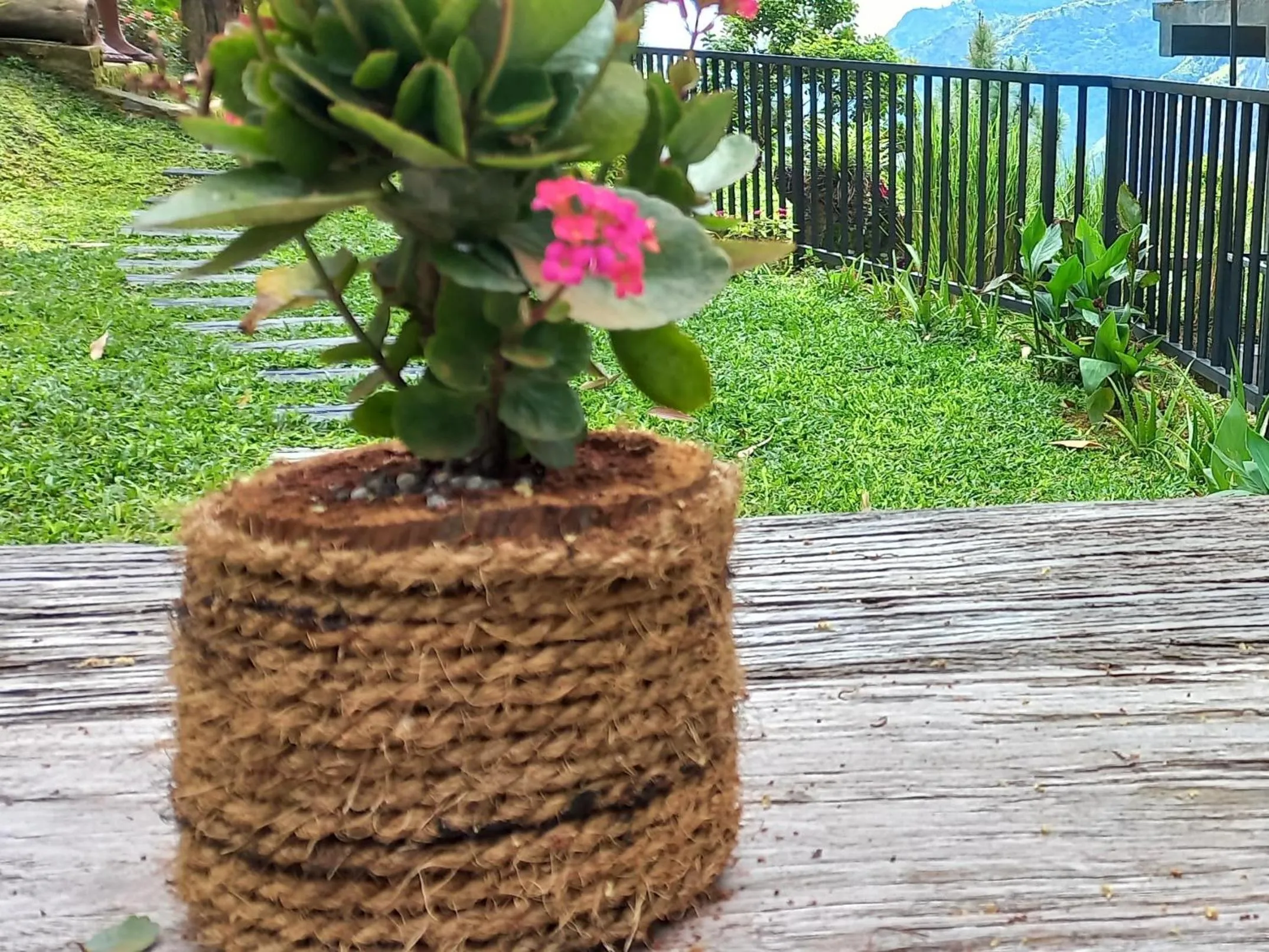 Garden view in Two Rock Vista