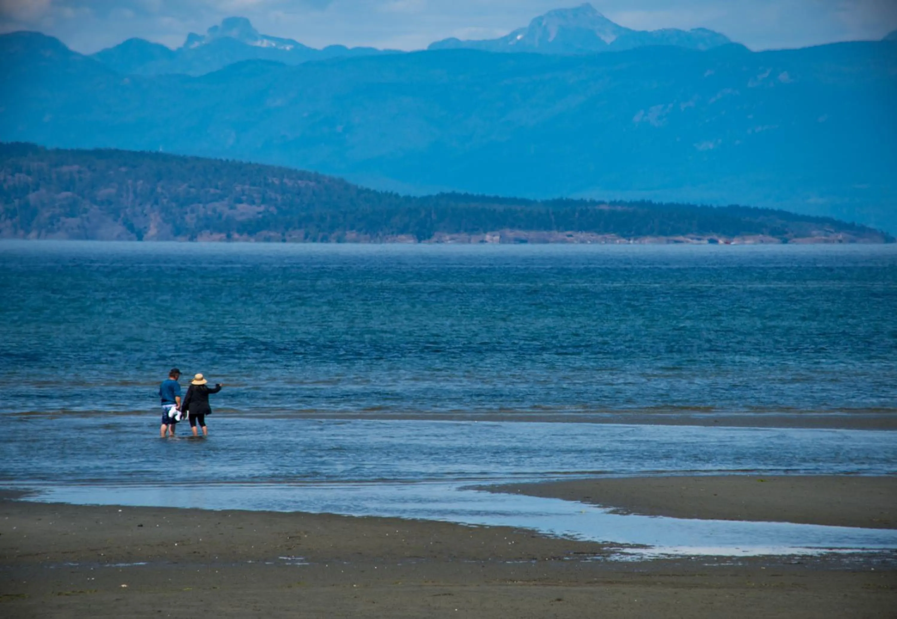 Beach in Sea Edge Beachside Hotel