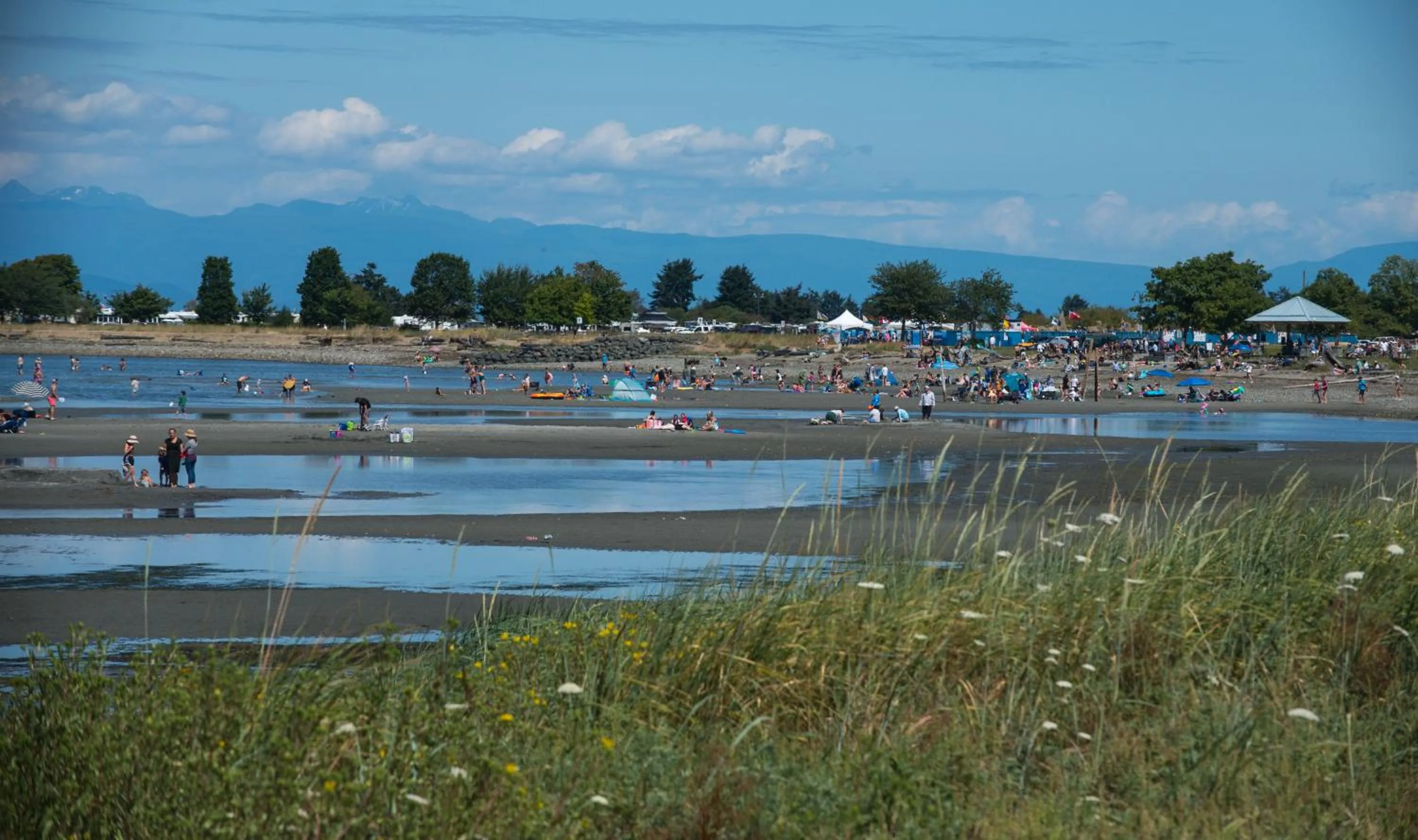 Beach in Sea Edge Beachside Hotel