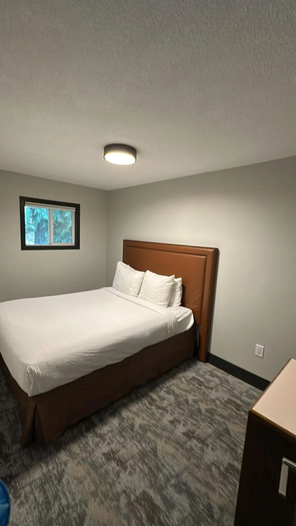 Bed in Sea Edge Beachside Hotel