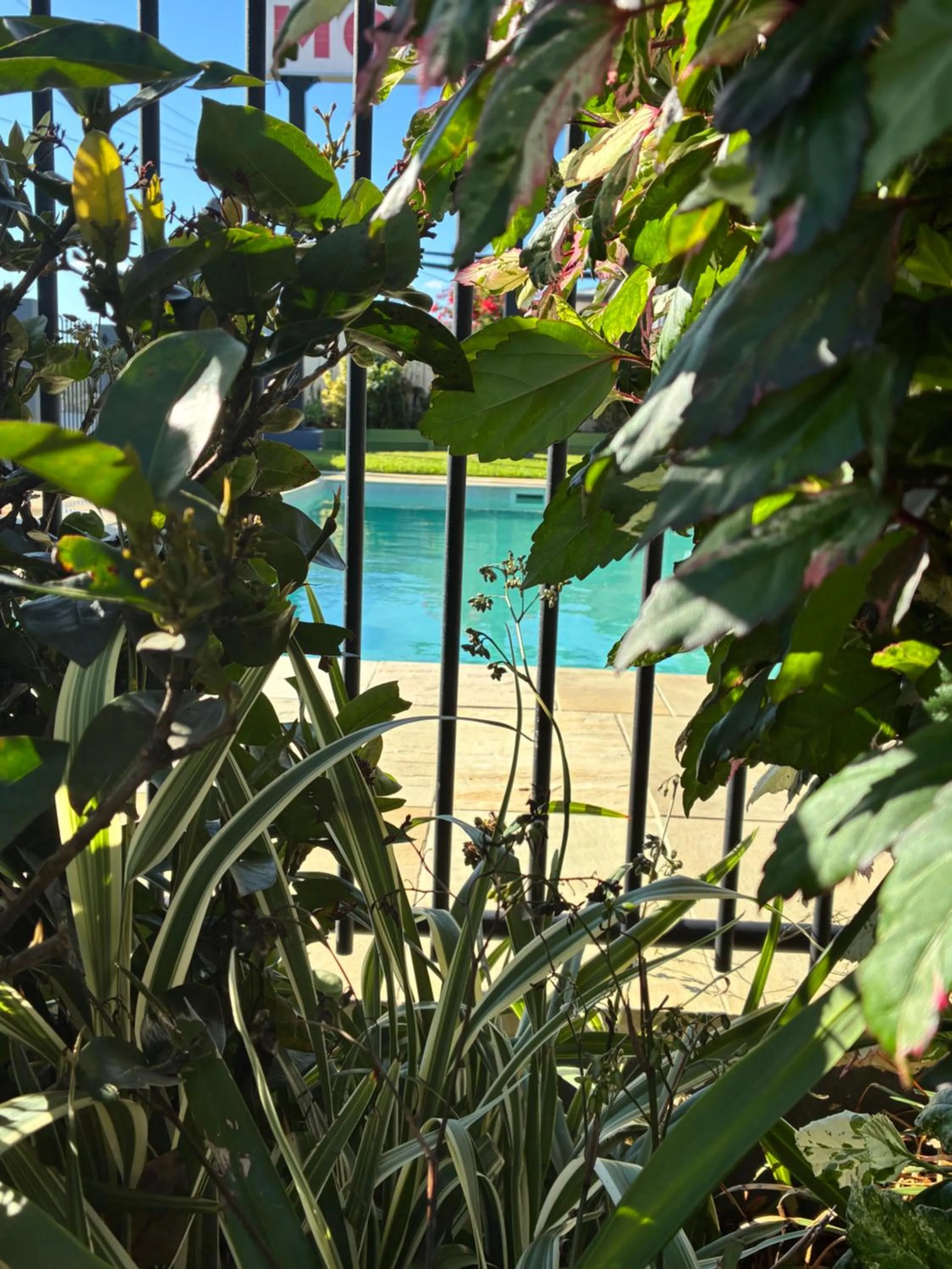 Swimming pool in Shady Rest Motel