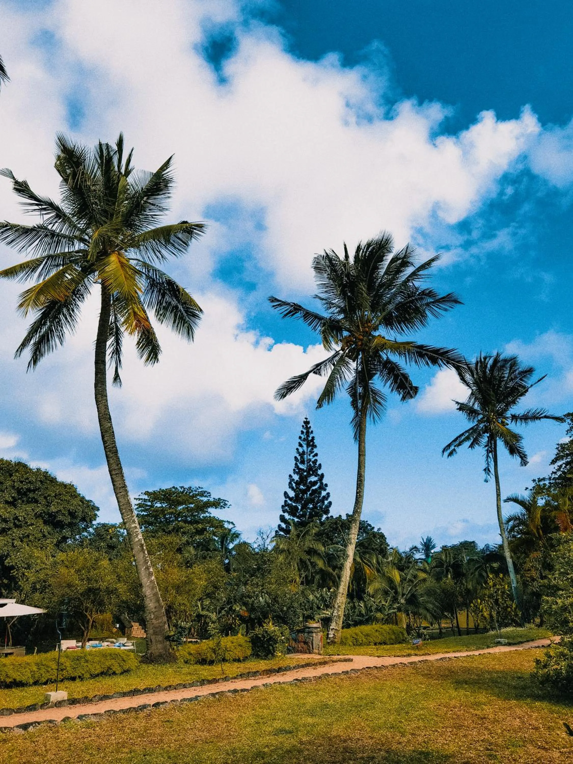 Garden in Kaz'alala Hosted B&B