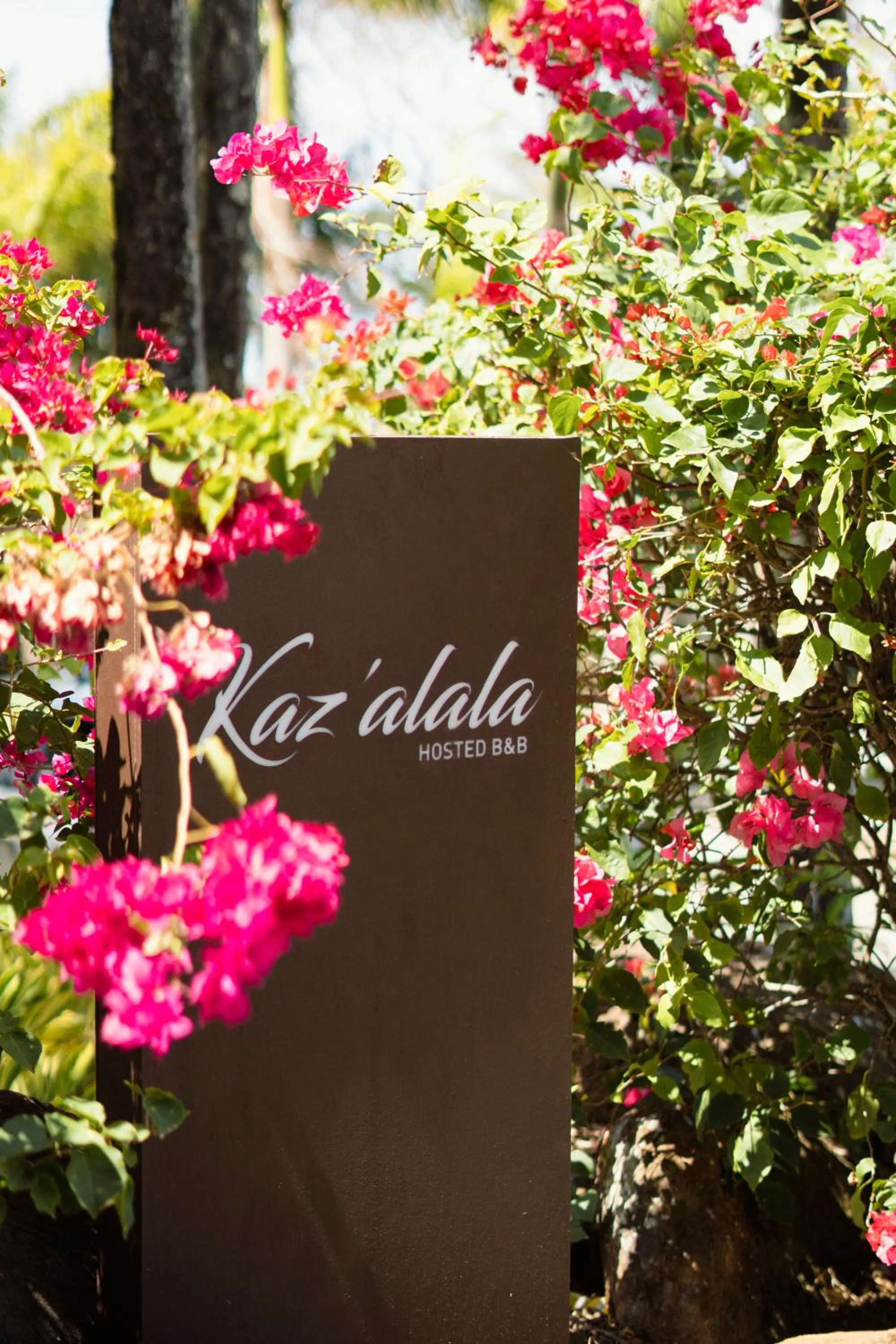 Garden in Kaz'alala Hosted B&B