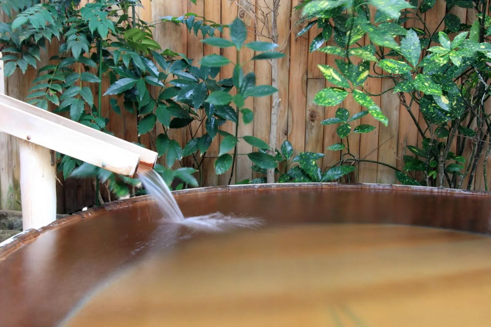 Hot Spring Bath in Yanagi No Yu