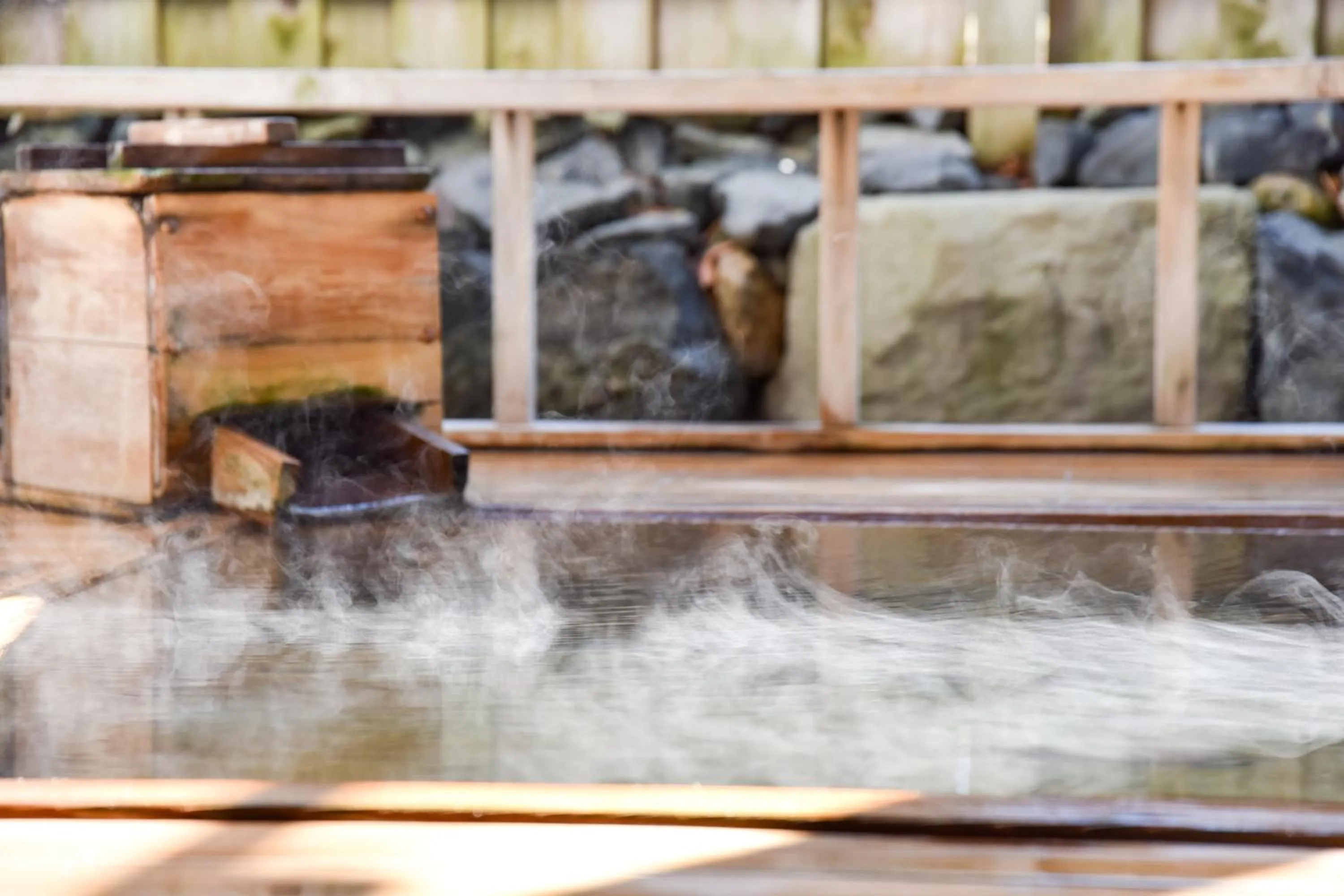 Hot Spring Bath in Yanagi No Yu