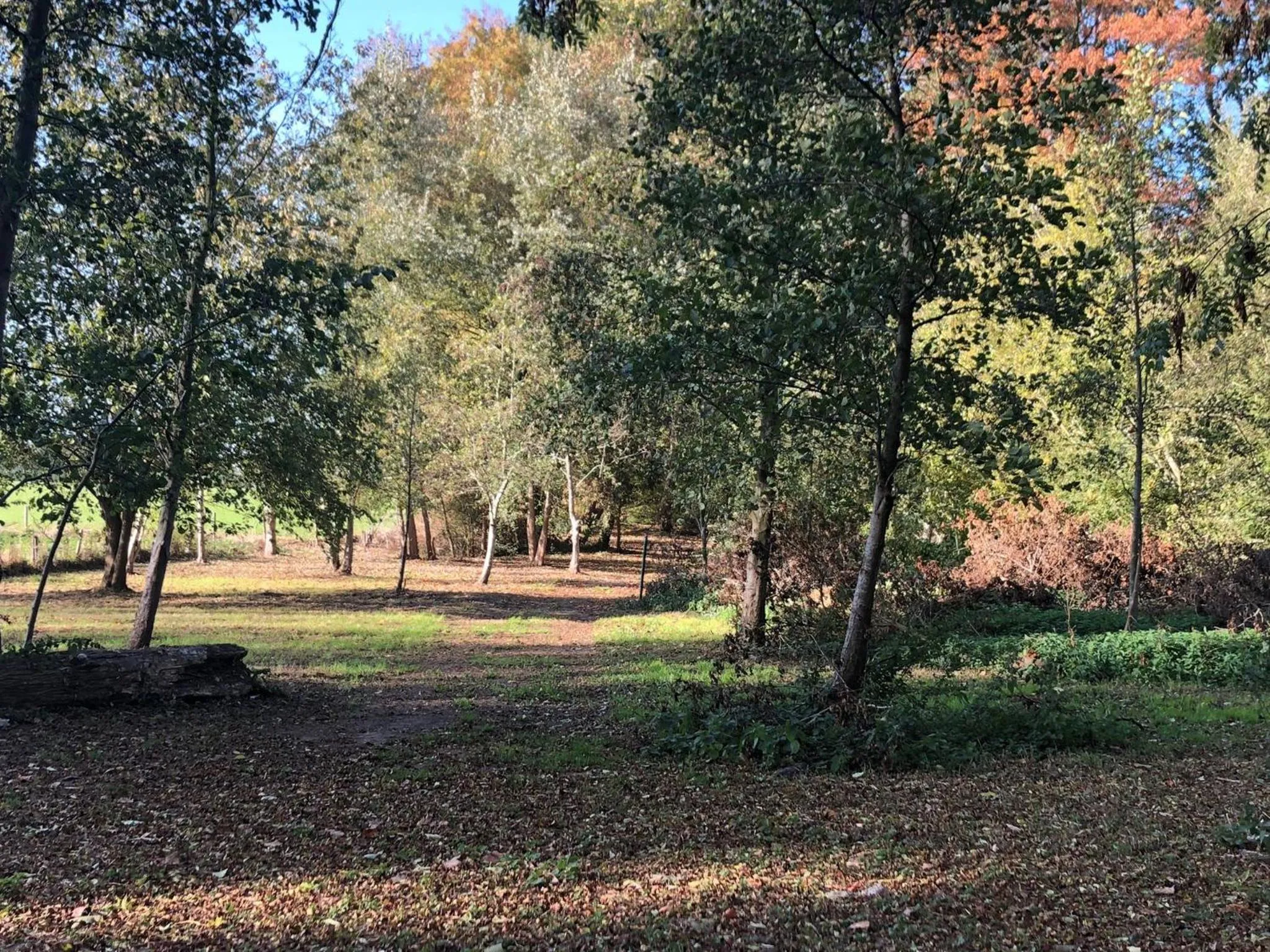 Kasteel B&B Sint-Bartel