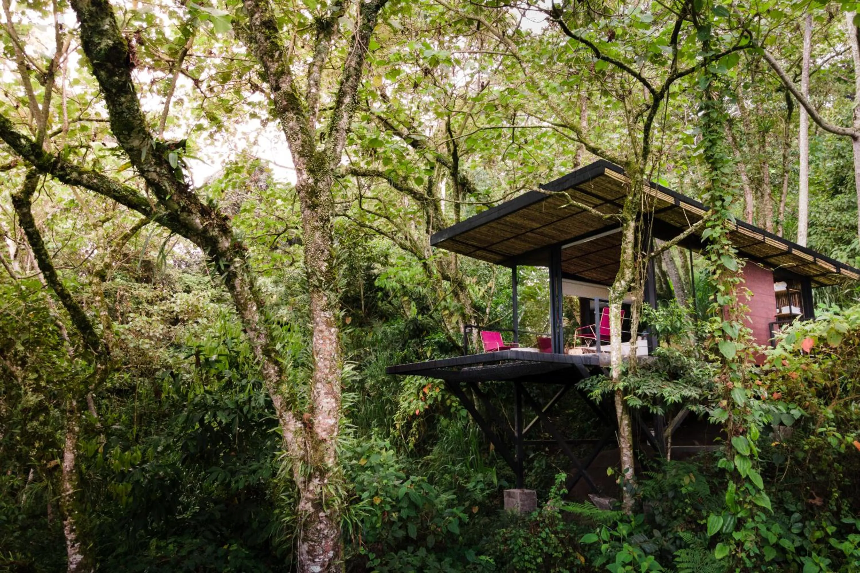 Natural landscape in Bio Habitat Hotel, AKEN SOUL Collection