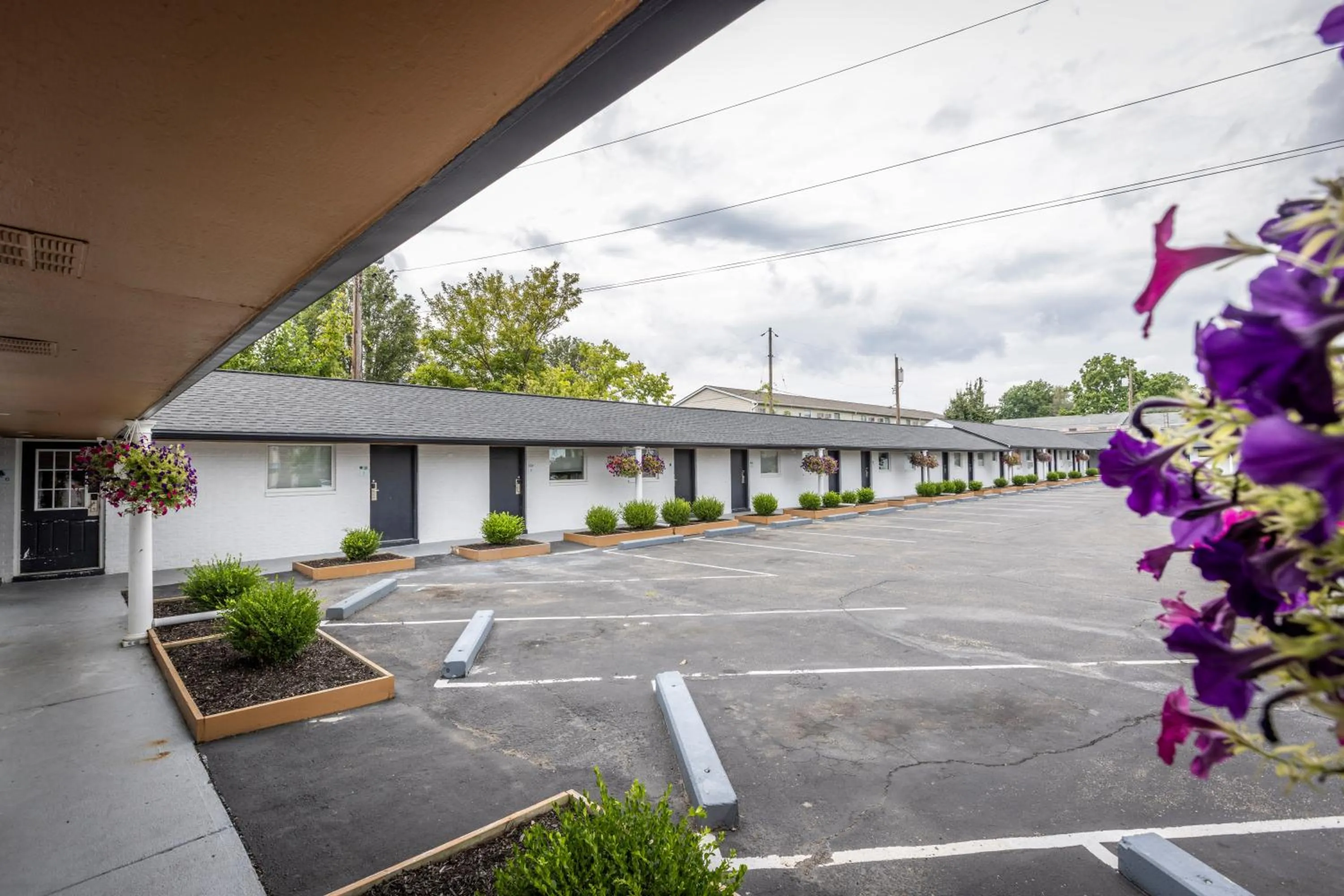 View (from property/room) in Butler Inn