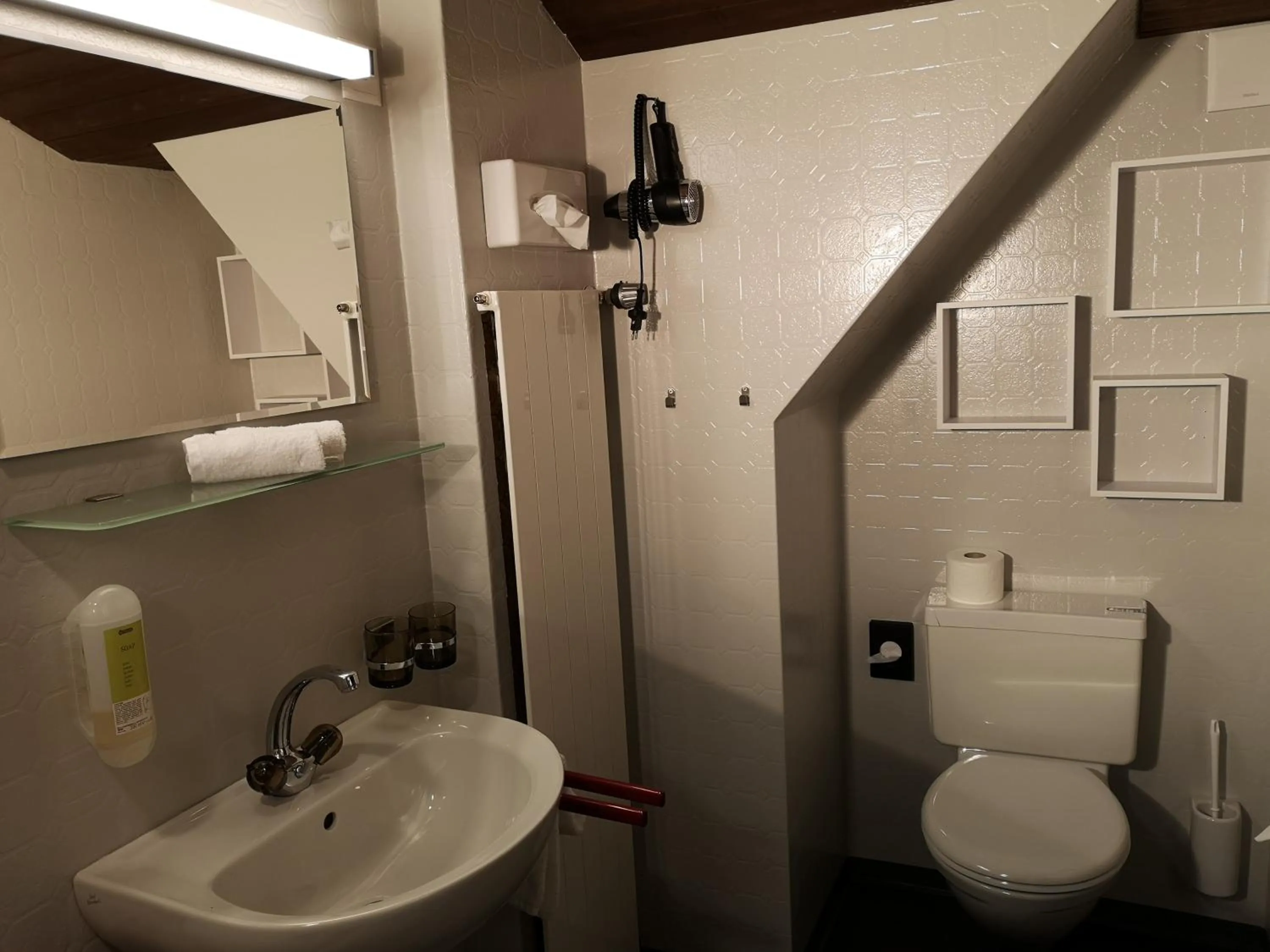 Bathroom in Gasthaus Friedegg