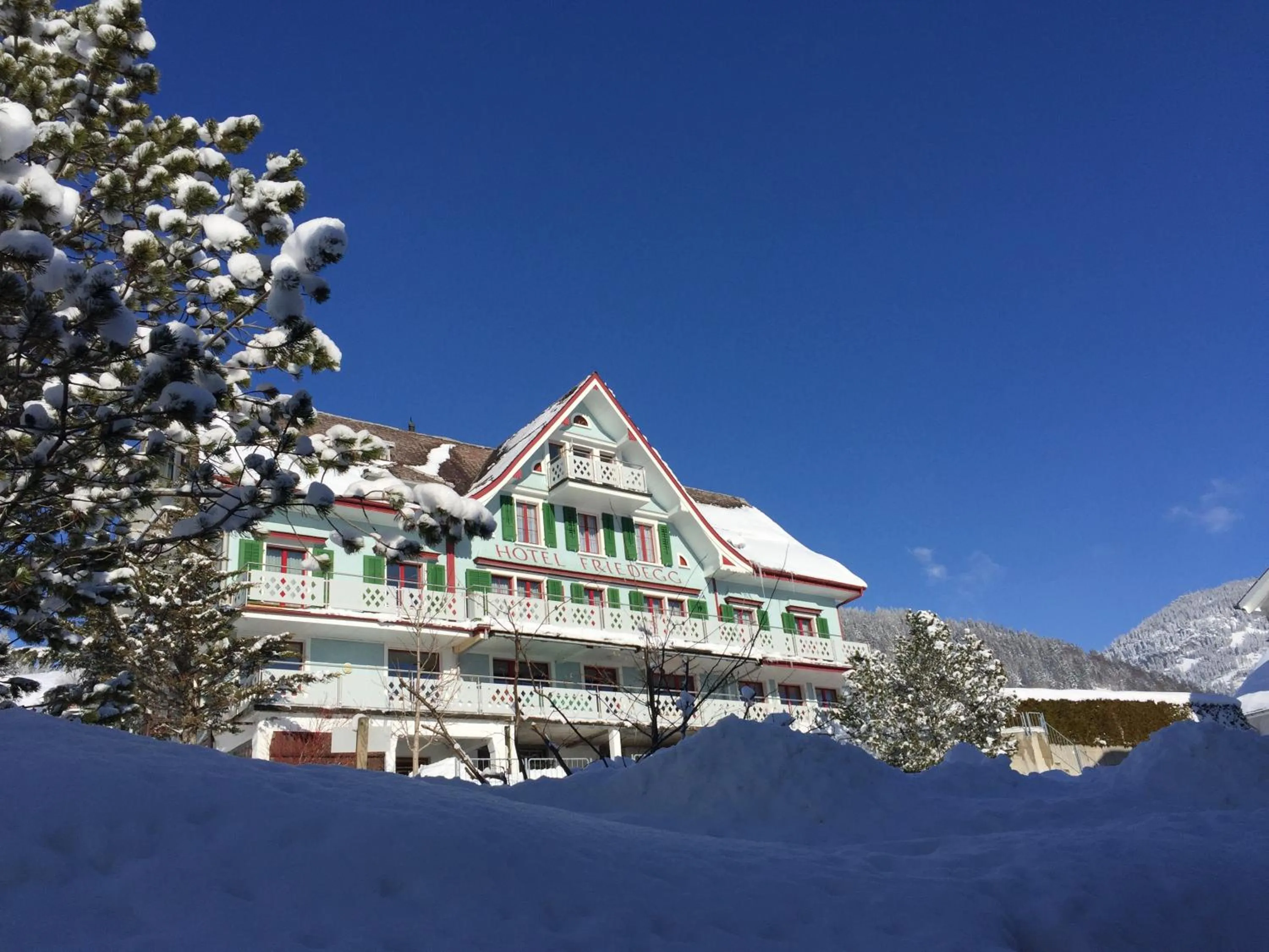 Property building in Gasthaus Friedegg