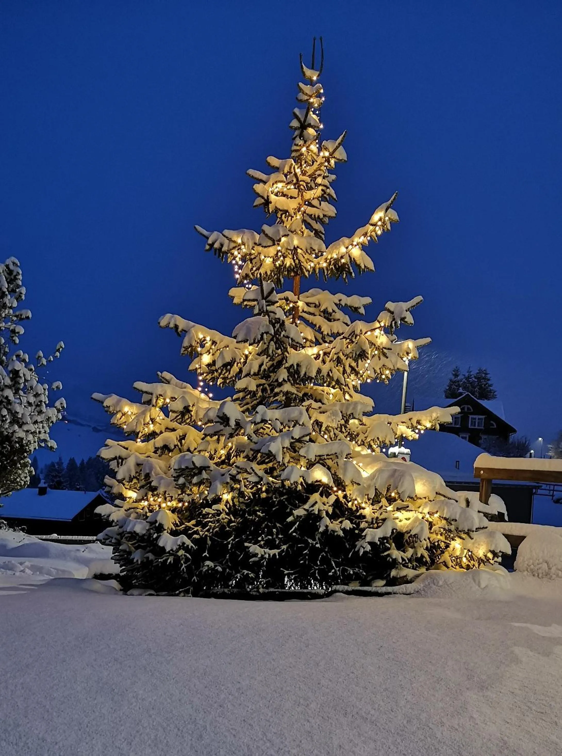 Winter in Gasthaus Friedegg