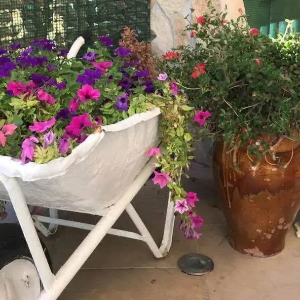 Garden view in B&B La Stella