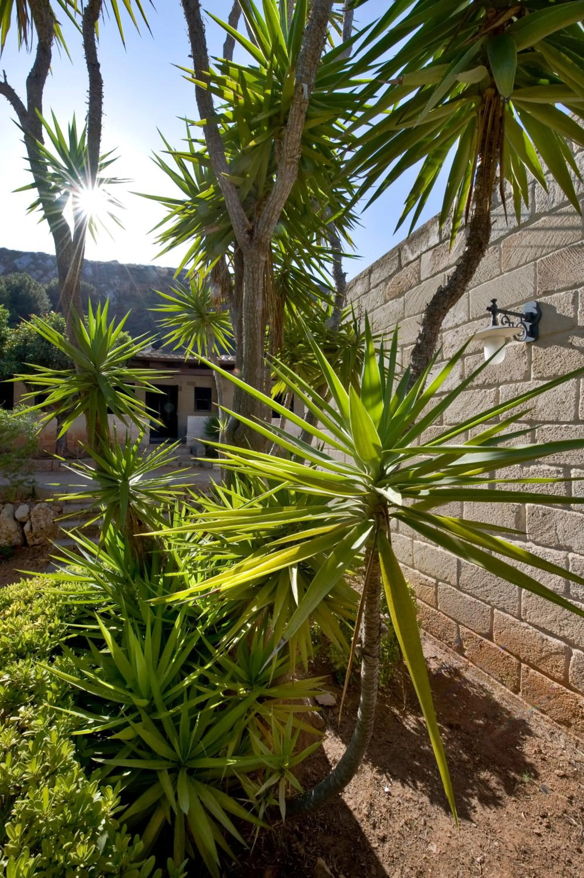 Other in Miramare Residence