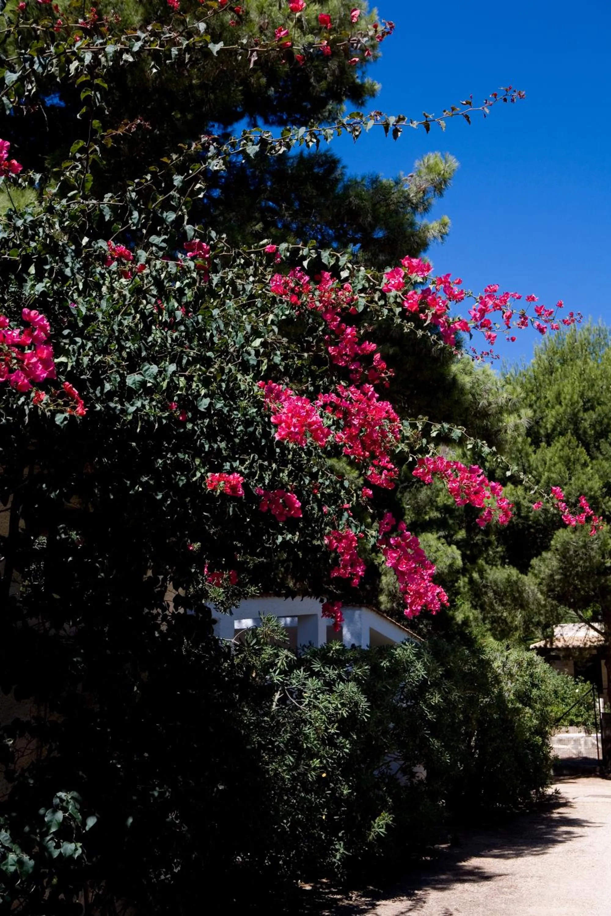 Other in Miramare Residence