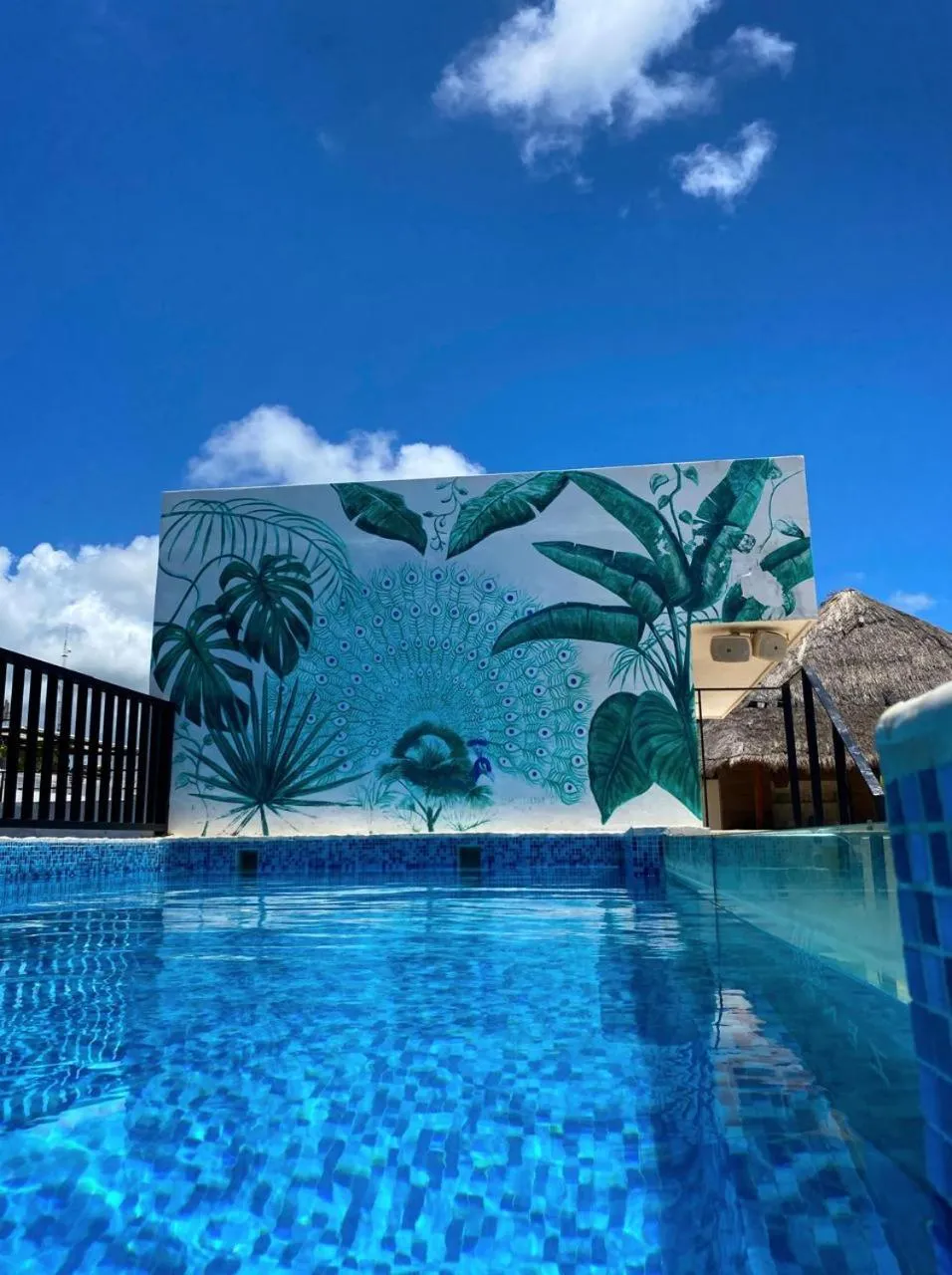 Day in Hotel Zendero Tulum
