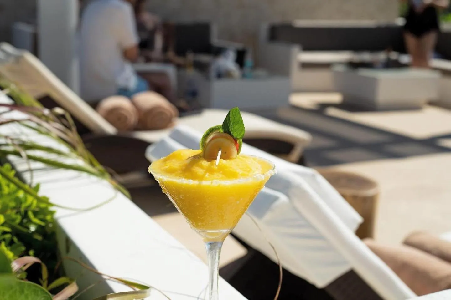 Day in Hotel Zendero Tulum