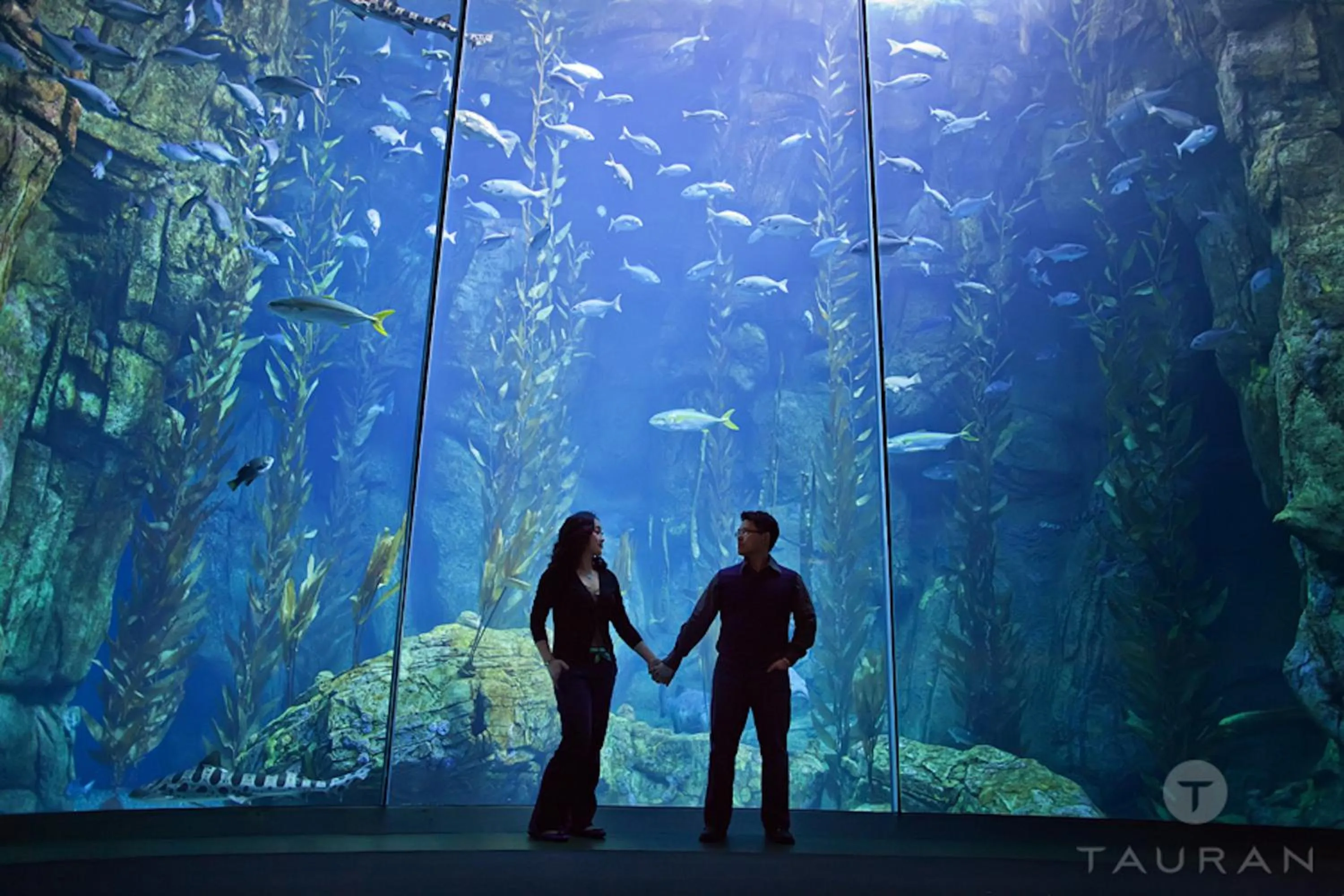 Nearby landmark in Long Beach House